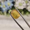 Yellow Sapphire | YS 87 | 6.37 Carat