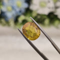Yellow Sapphire | YS 161 | 6.08 Carat