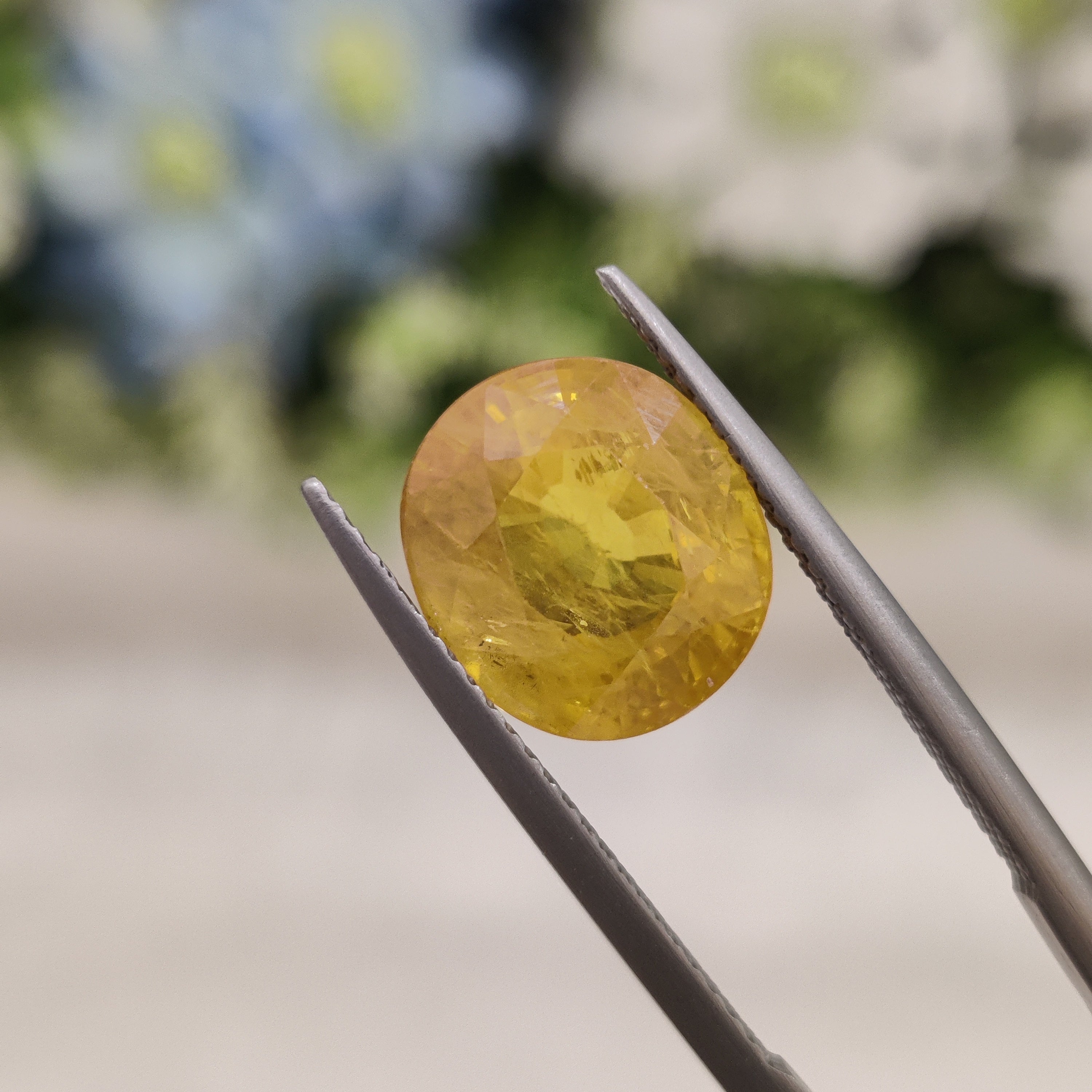 Yellow Sapphire | YS 197 | 6.95 Carat