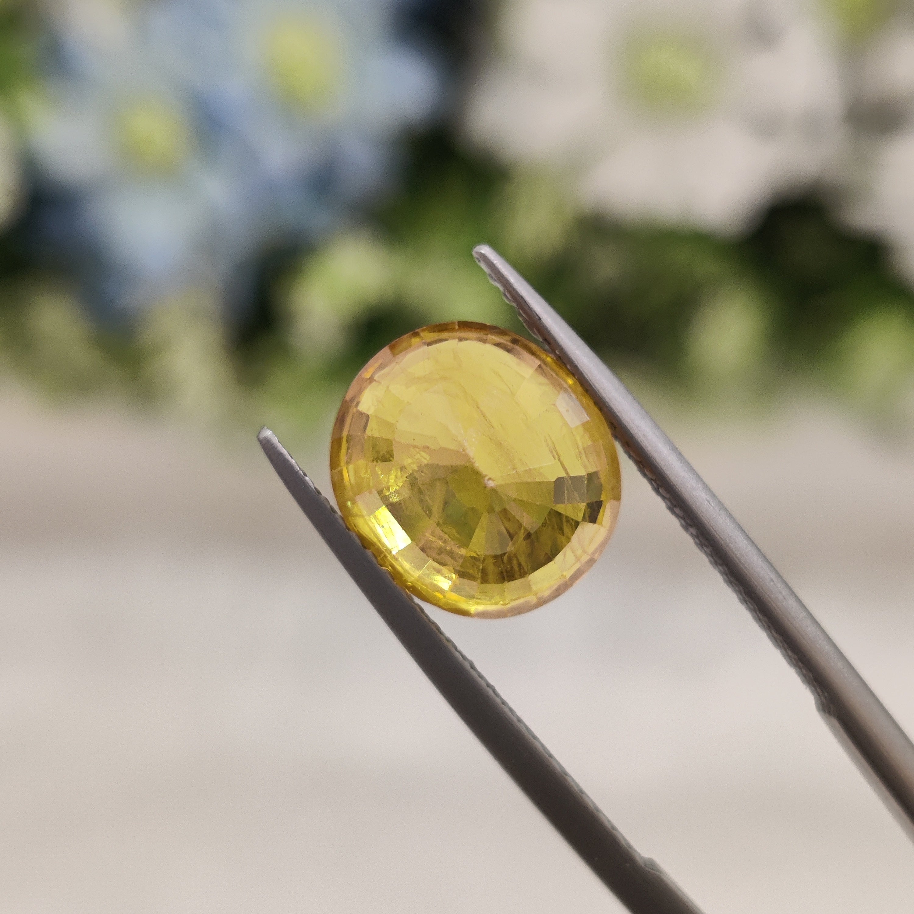 Yellow Sapphire | YS 197 | 6.95 Carat