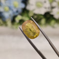 Yellow Sapphire | YS 136 | 6.63 Carat