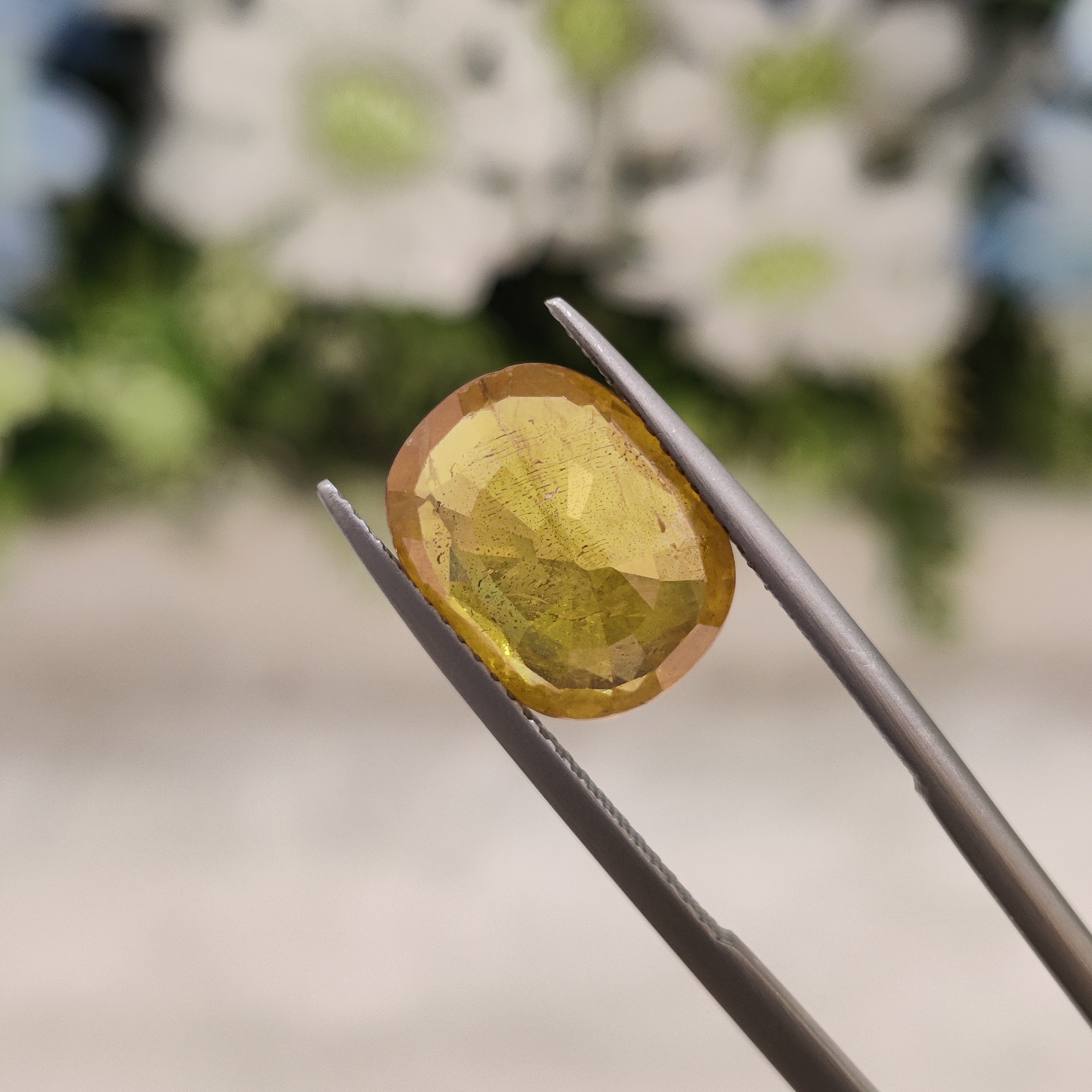 Yellow Sapphire | YS 163 | 5.53 Carat