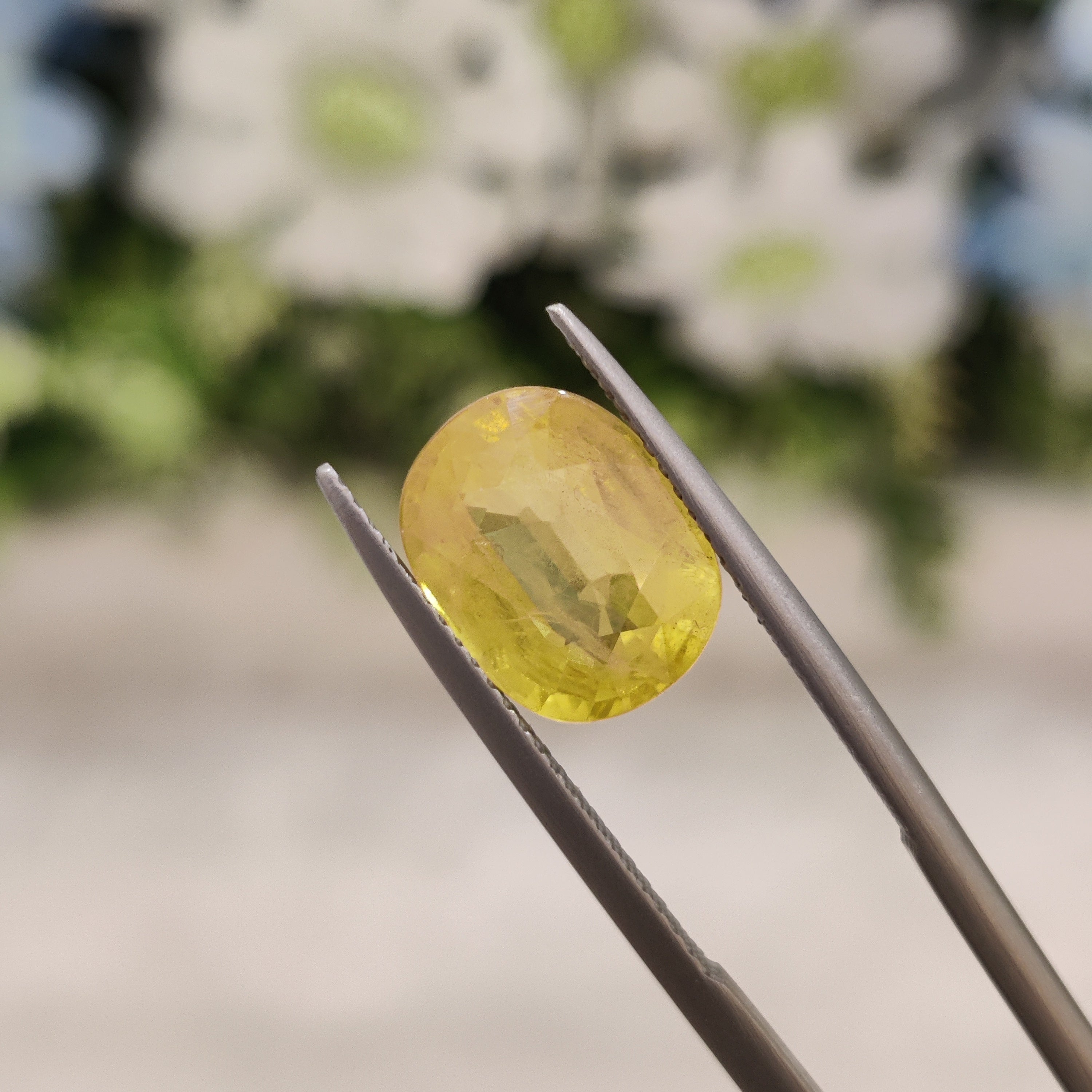 Yellow Sapphire | YS 194 | 5.33 Carat