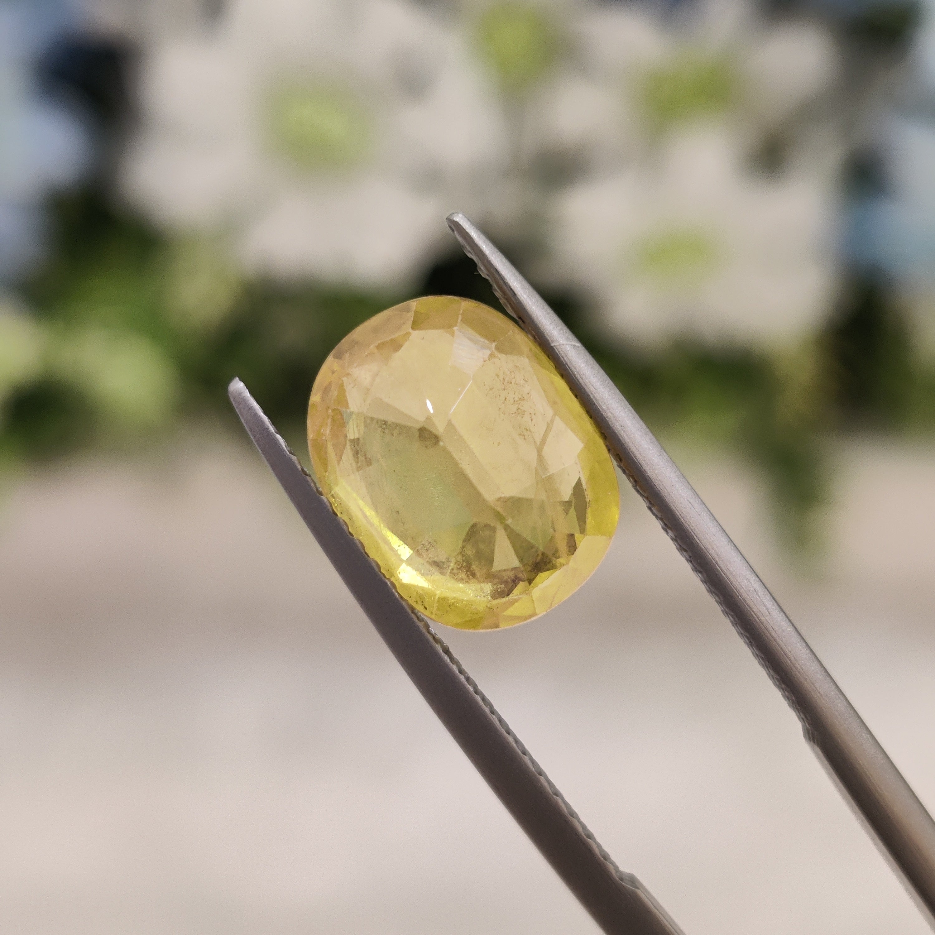 Yellow Sapphire | YS 194 | 5.33 Carat
