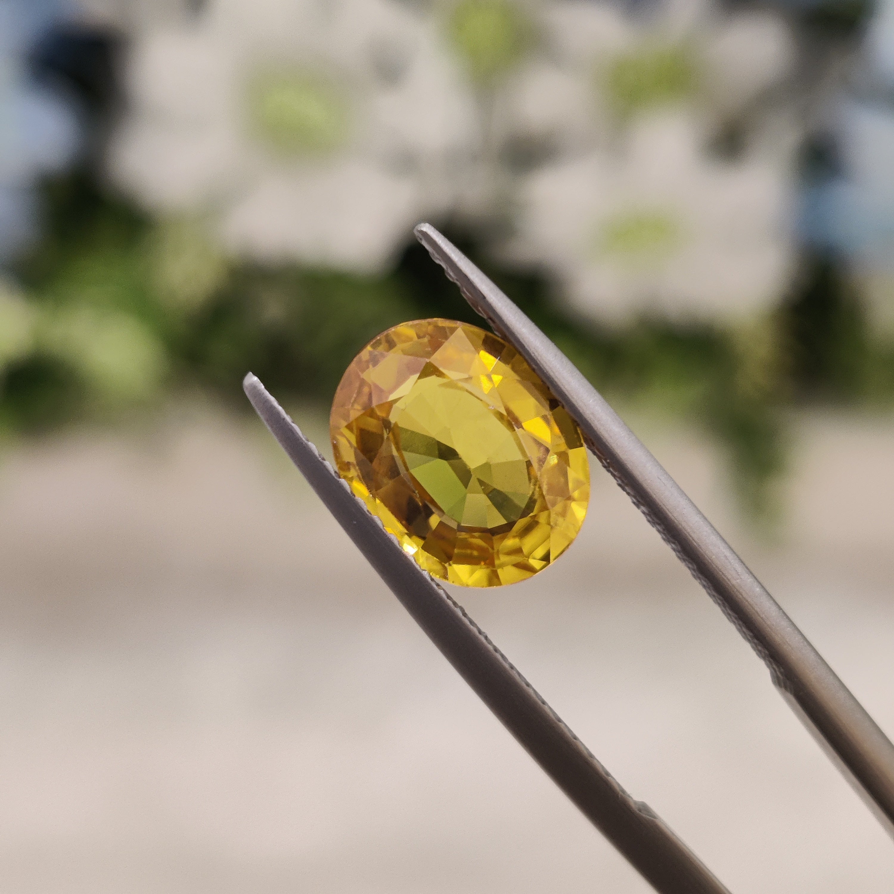 Yellow Sapphire | YS 28 | 3.1 Carat