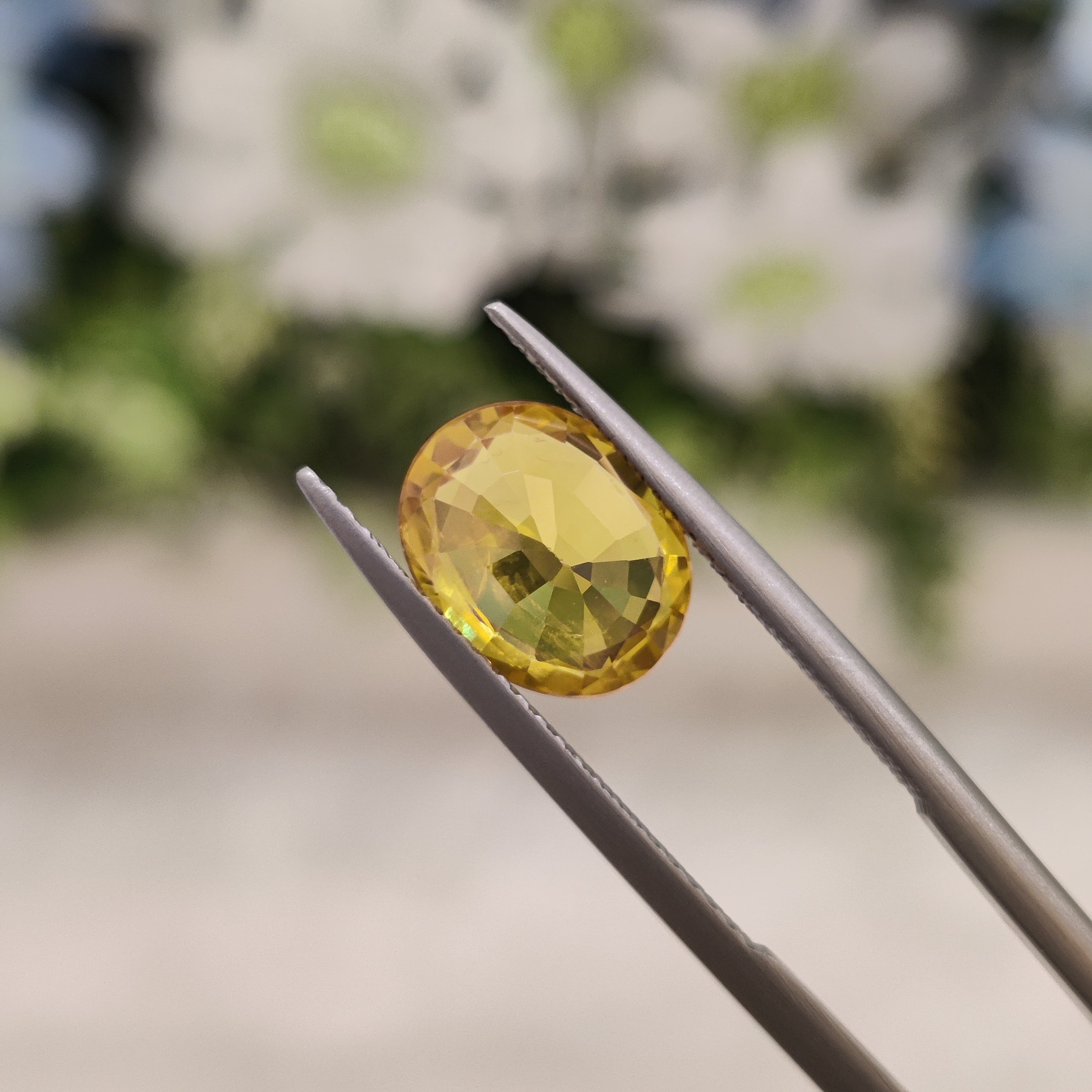 Yellow Sapphire | YS 28 | 3.1 Carat
