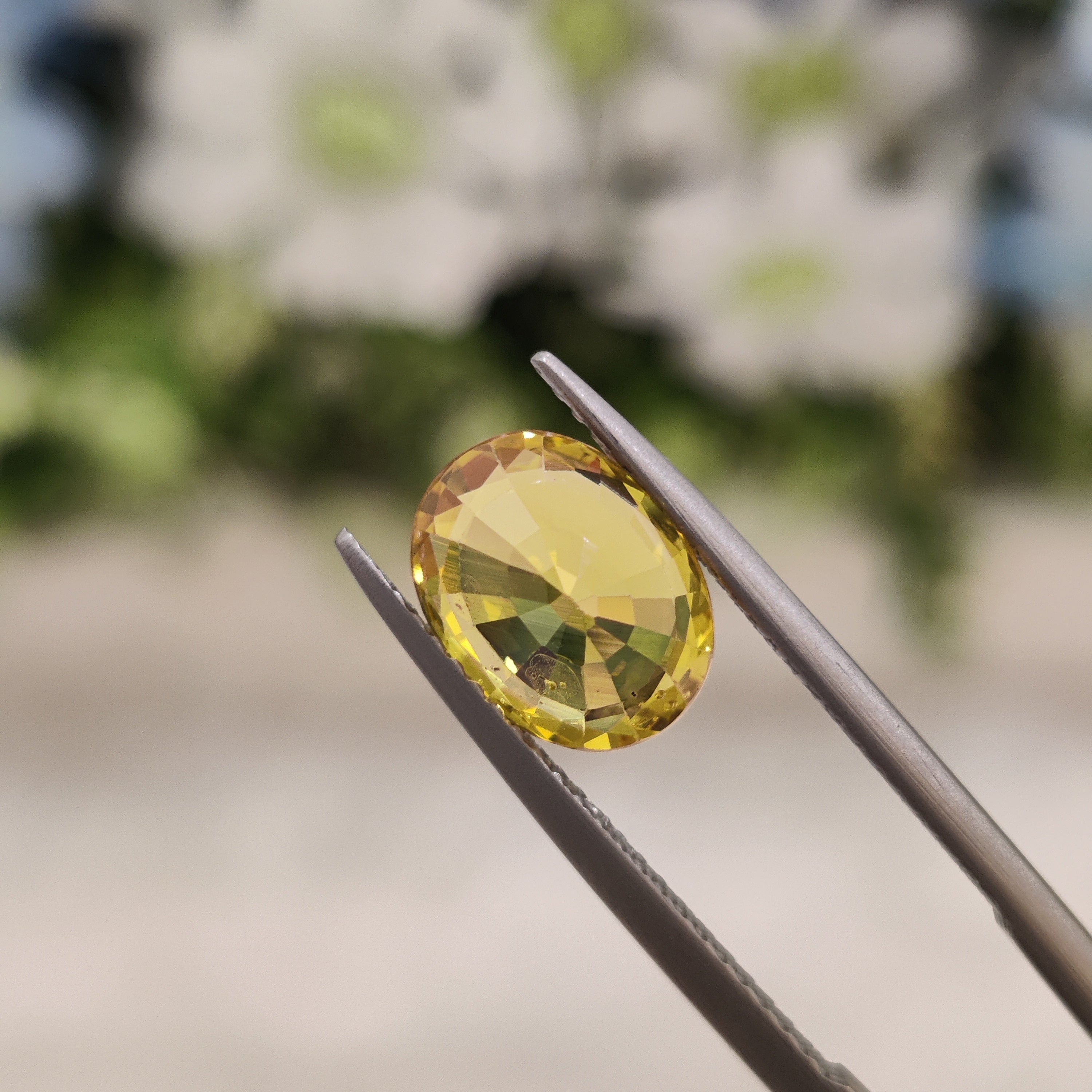 Yellow Sapphire | YS 29 | 3.11 Carat