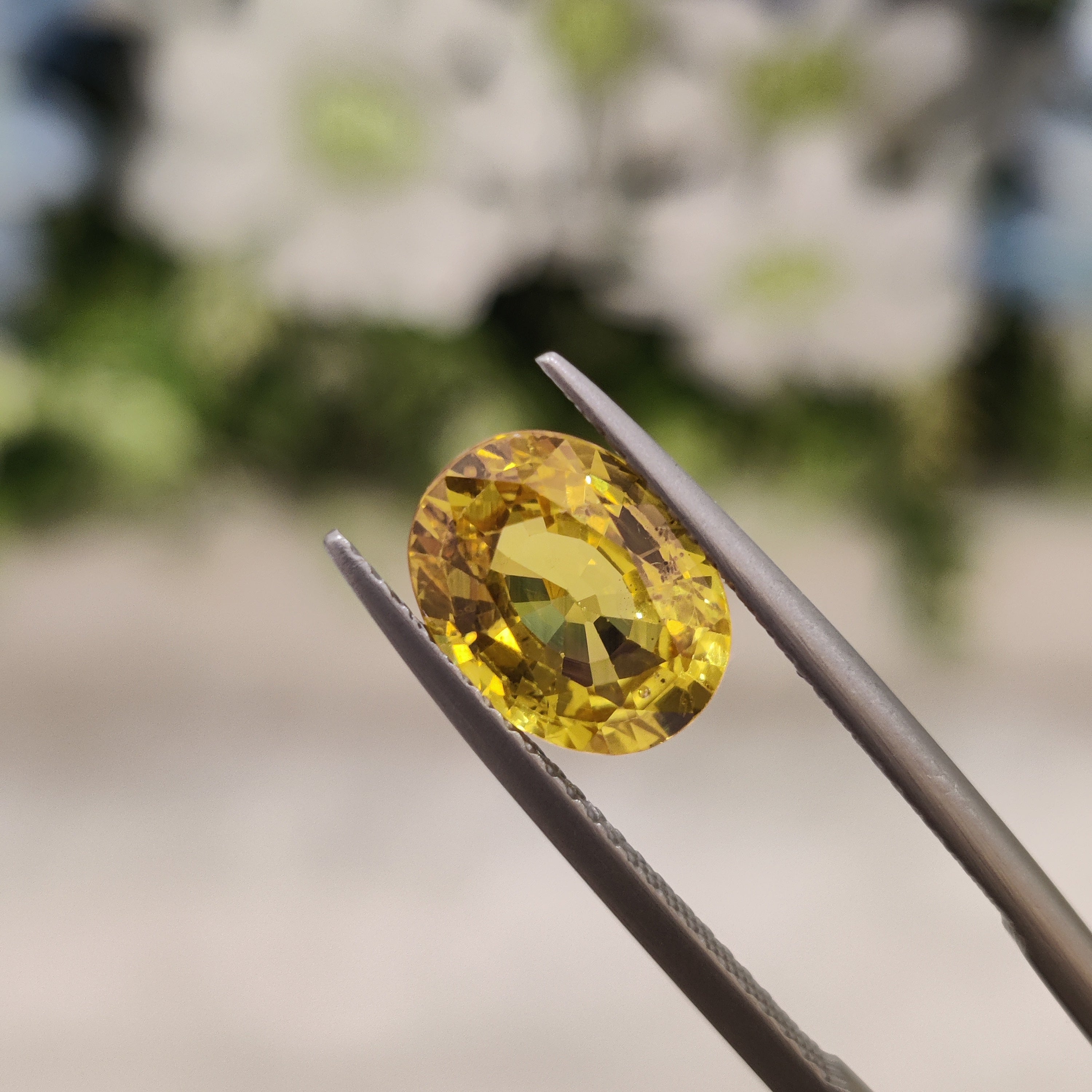Yellow Sapphire | YS 29 | 3.11 Carat