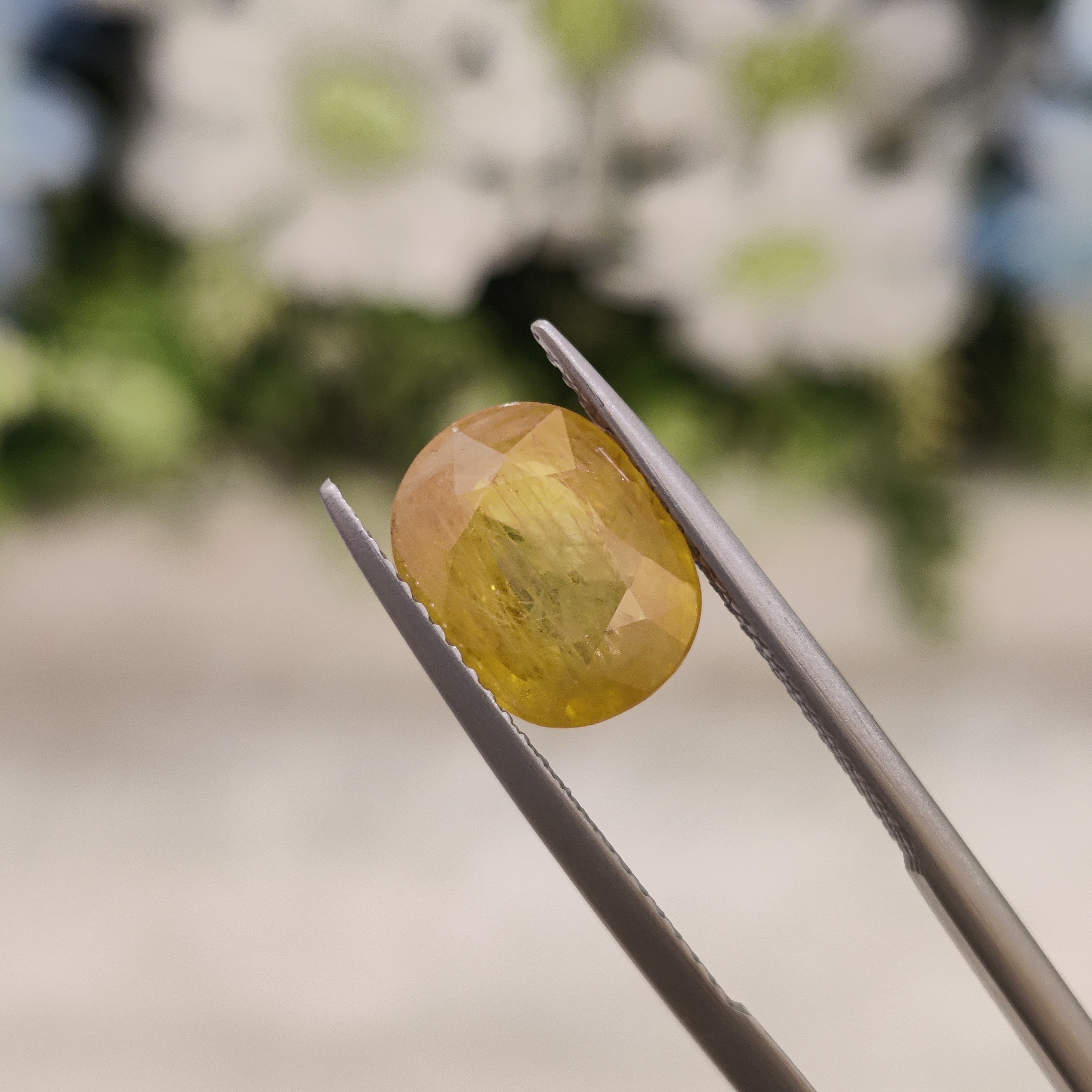 Yellow Sapphire | YS 55 | 3.78 Carat