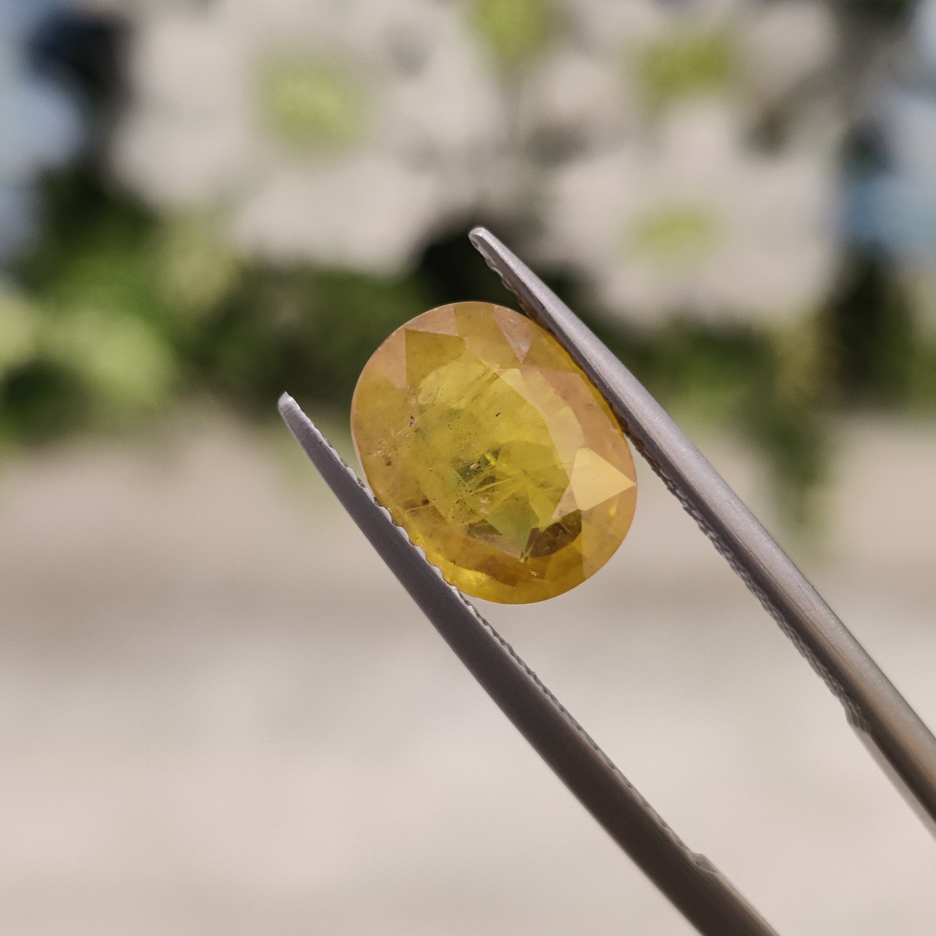 Yellow Sapphire | YS 98 | 3.7 Carat