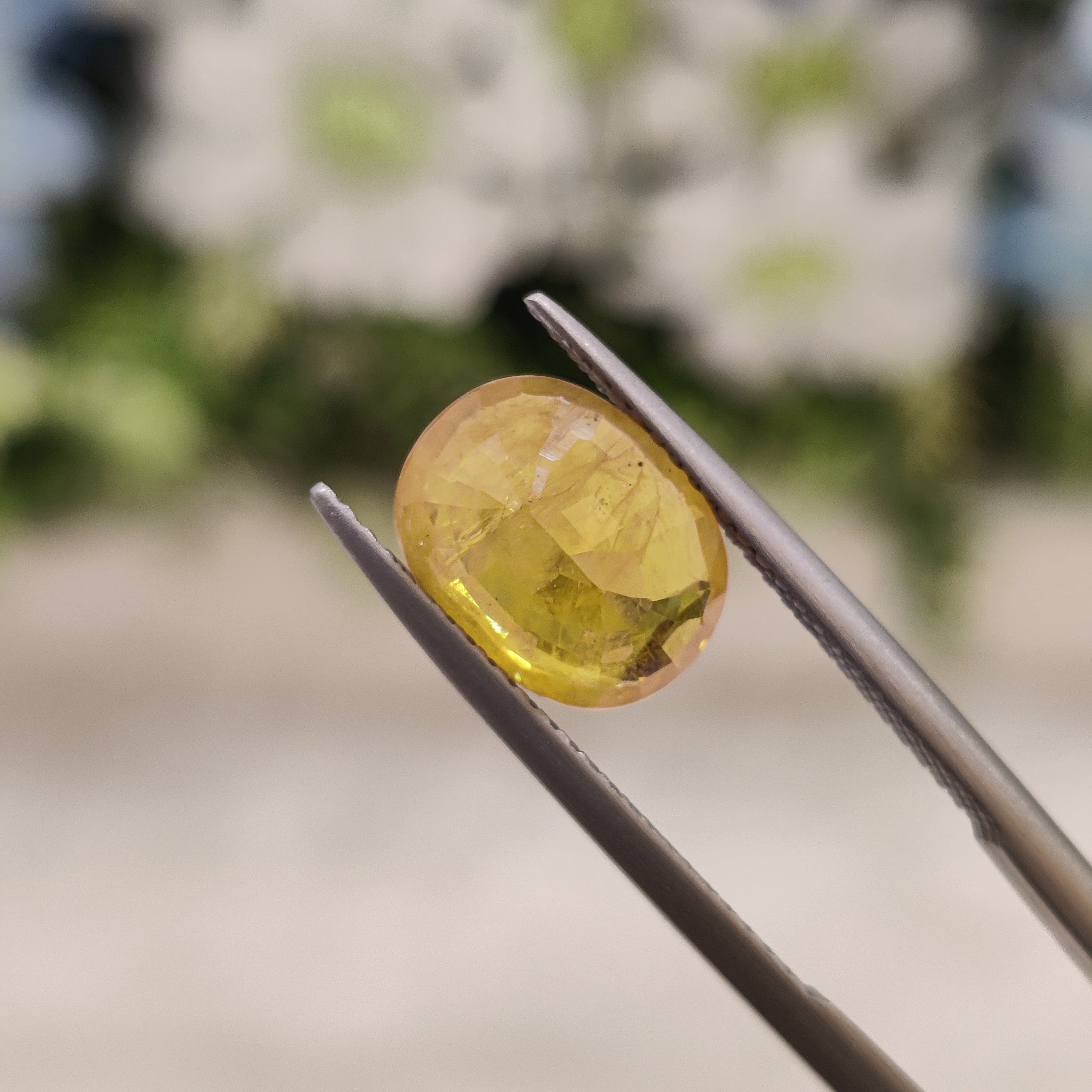 Yellow Sapphire | YS 98 | 3.7 Carat