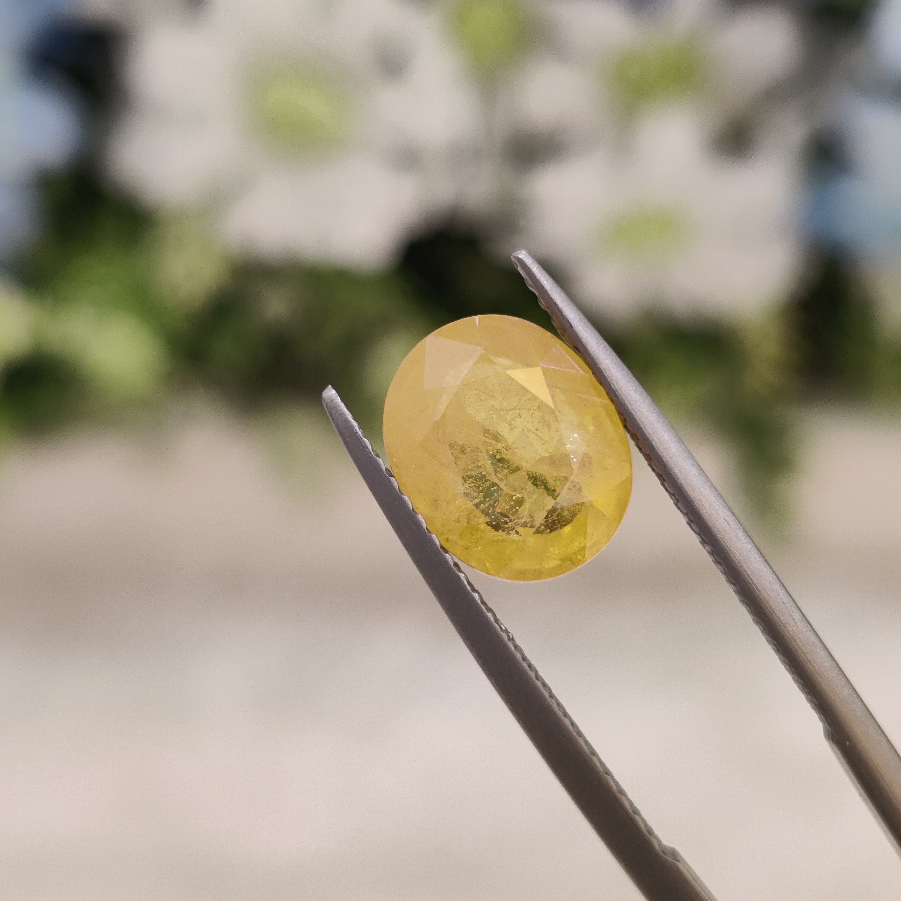 Yellow Sapphire | YS 3 | 3.92 Carat