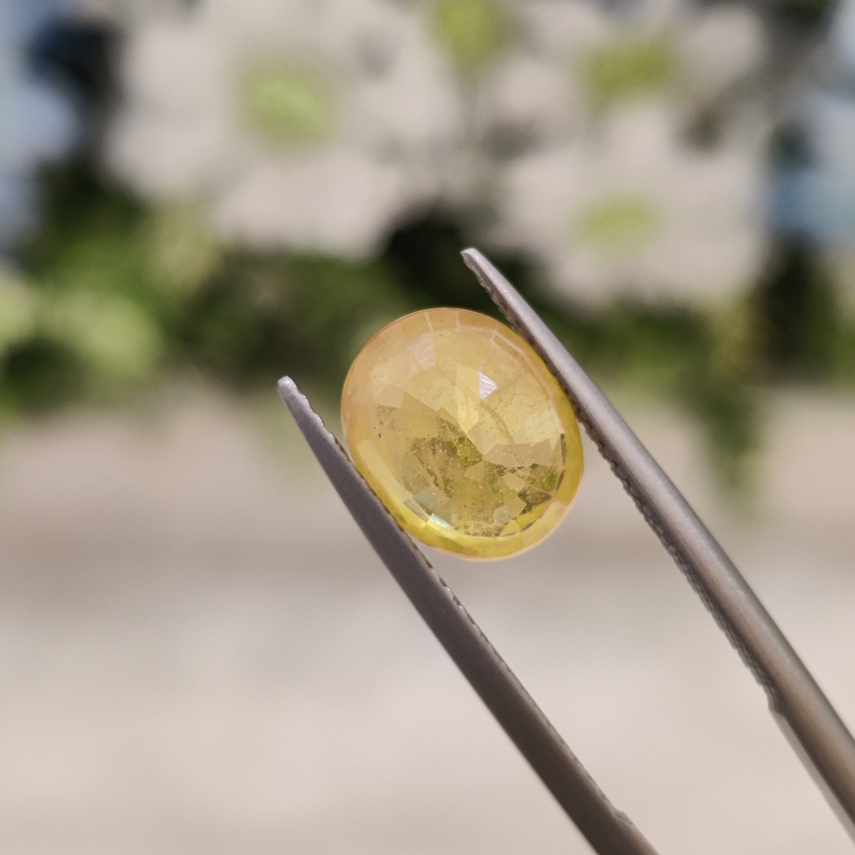 Yellow Sapphire | YS 3 | 3.92 Carat