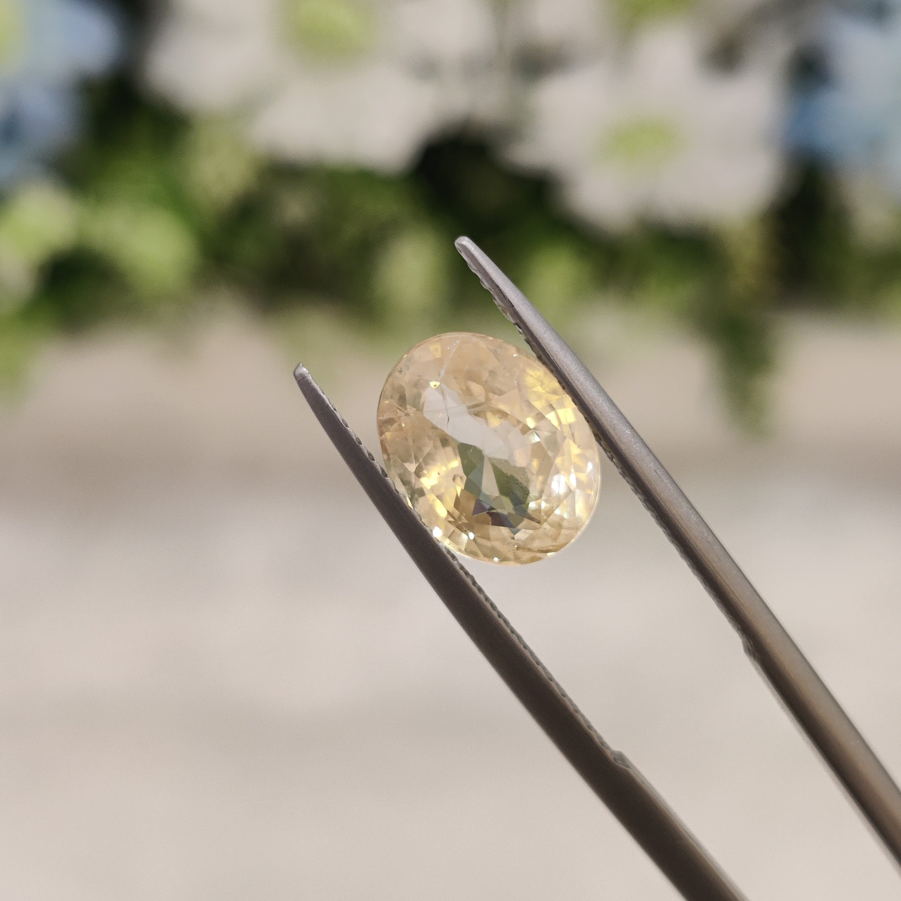 Yellow Sapphire | YS 46 | 3.62 Carat