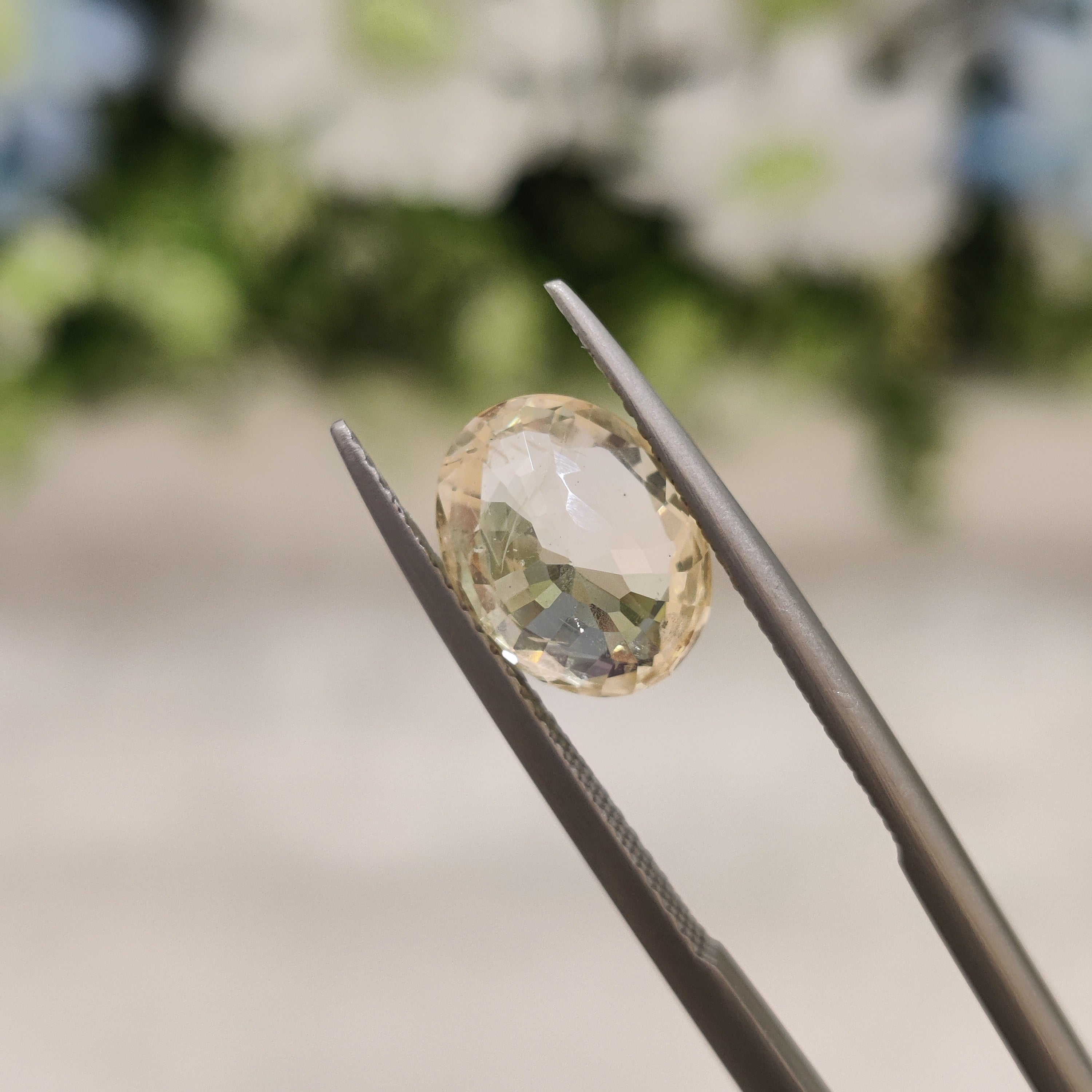 Yellow Sapphire | YS 46 | 3.62 Carat