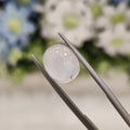 Blue Moonstone | BMS 4 | 6.56 Carat