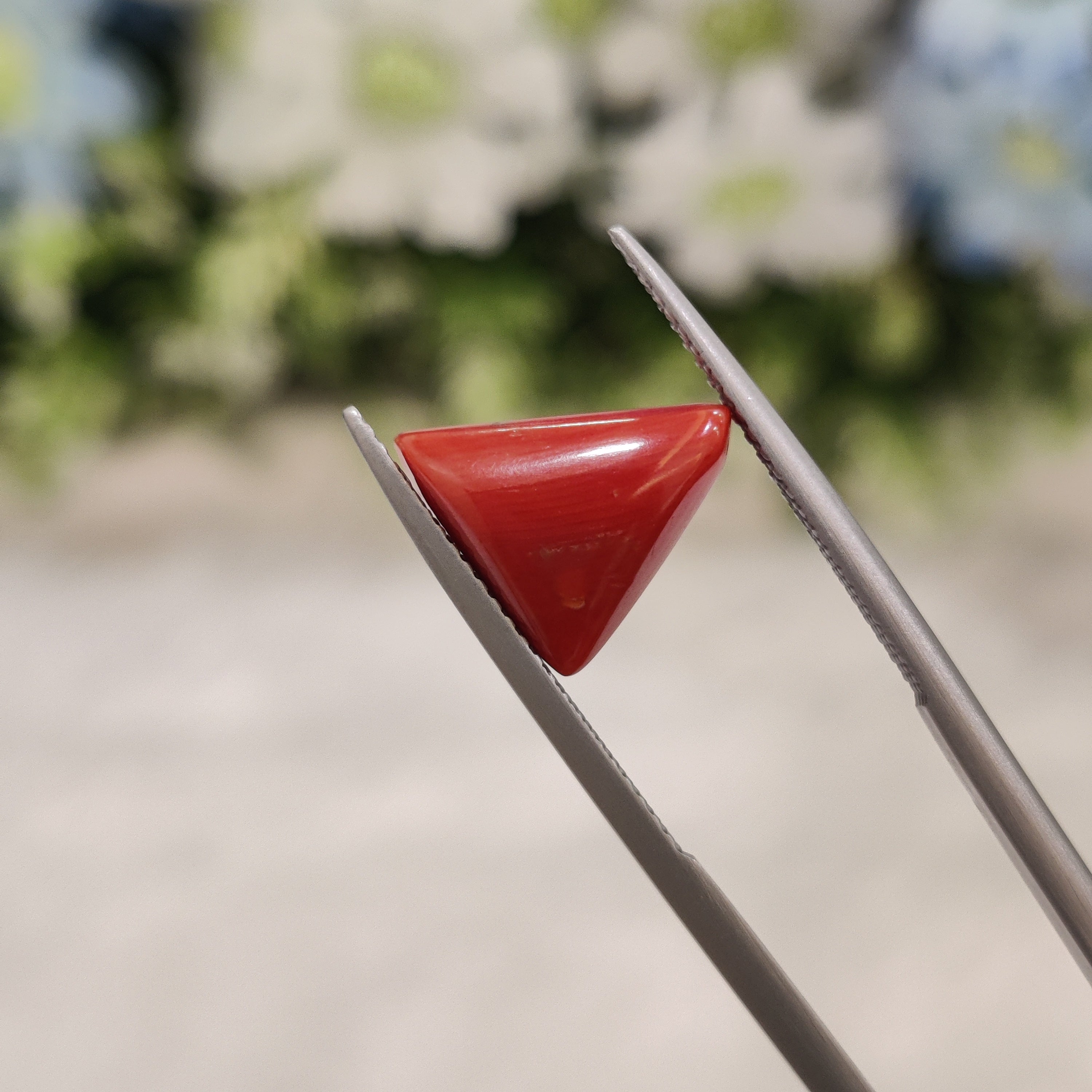 Coral | CORAL 54 | 4.74 Carat