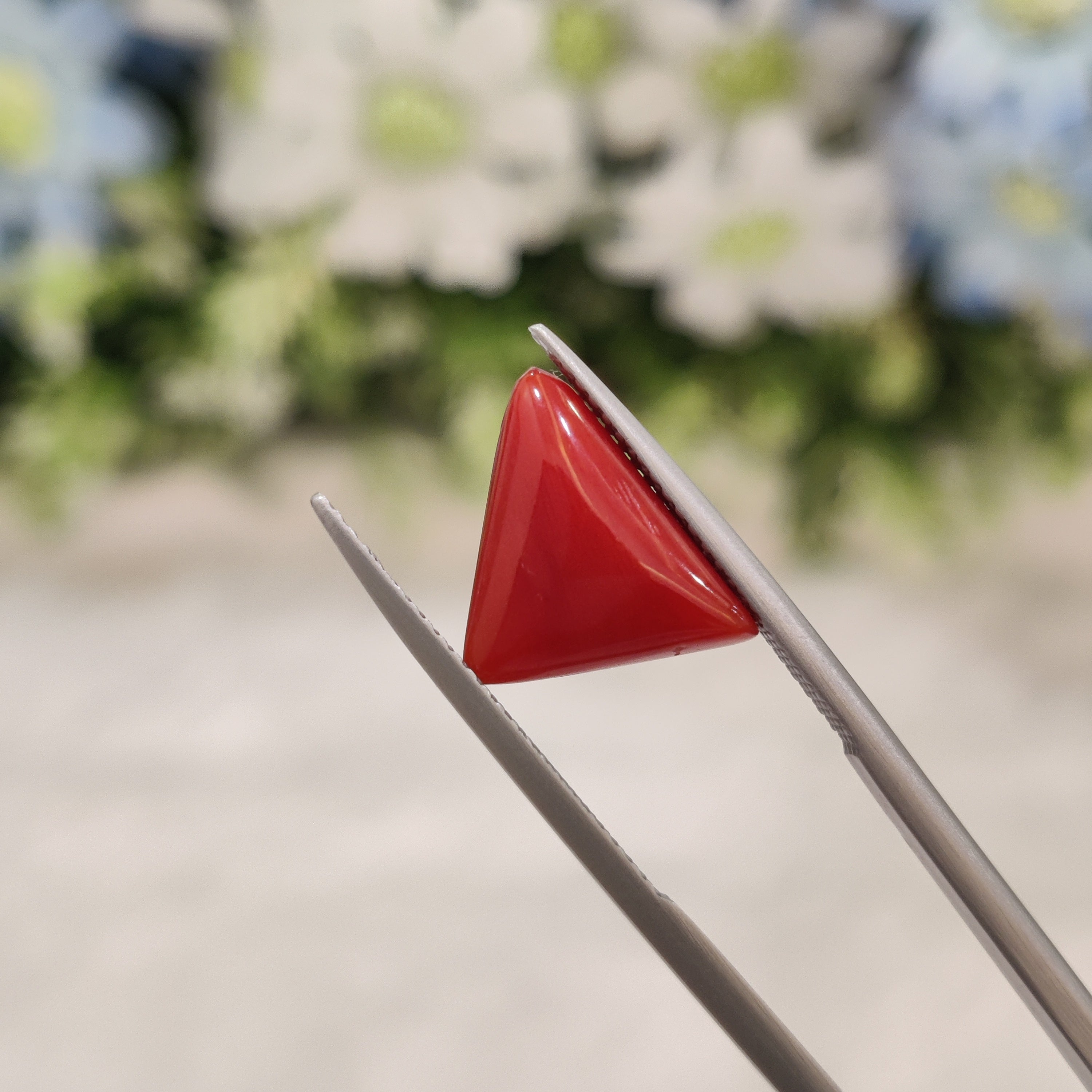 Coral | CORAL 66 | 4.91 Carat