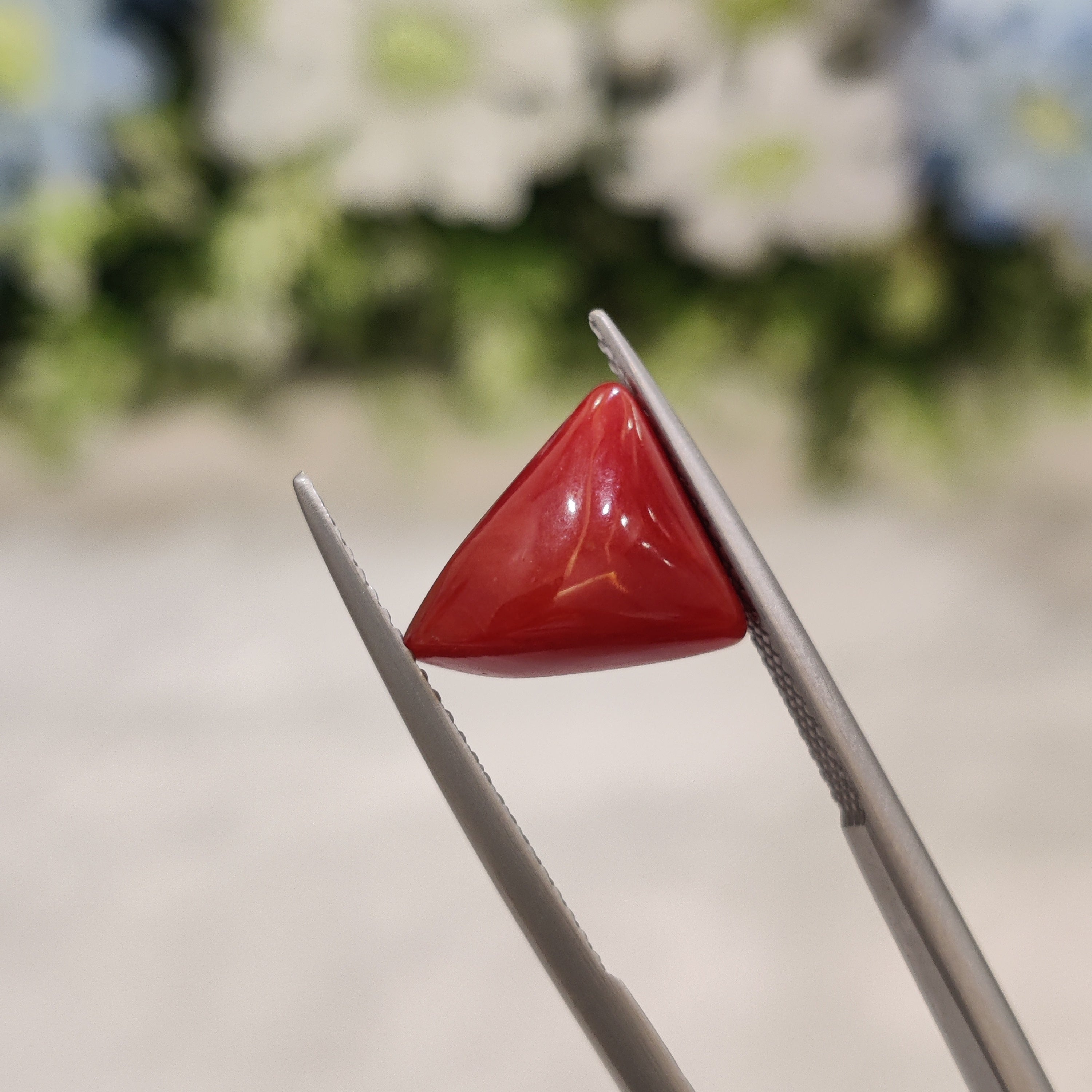 Coral | CORAL 49 | 4.9 Carat