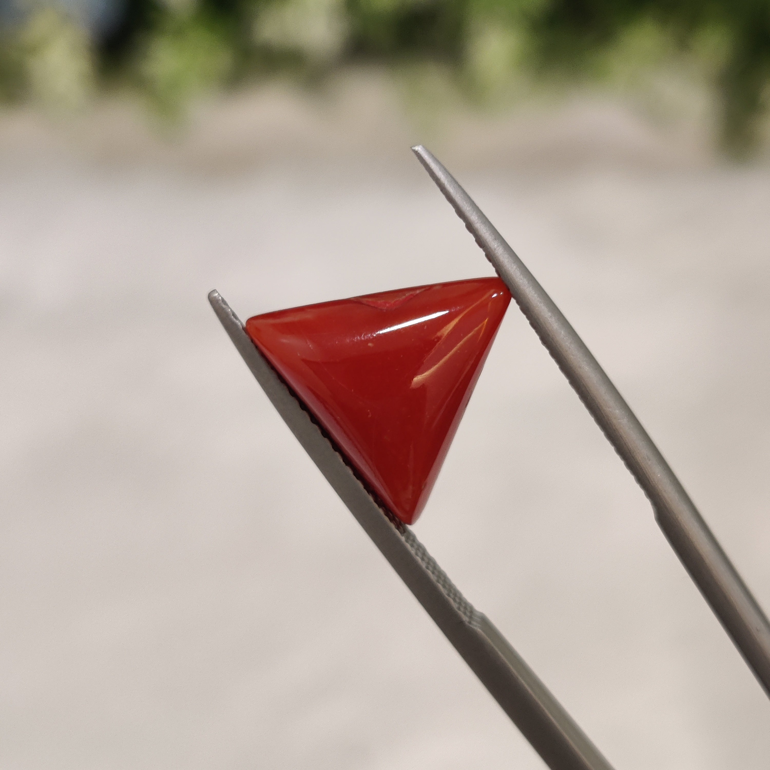 Coral | CORAL 24 | 4.98 Carat