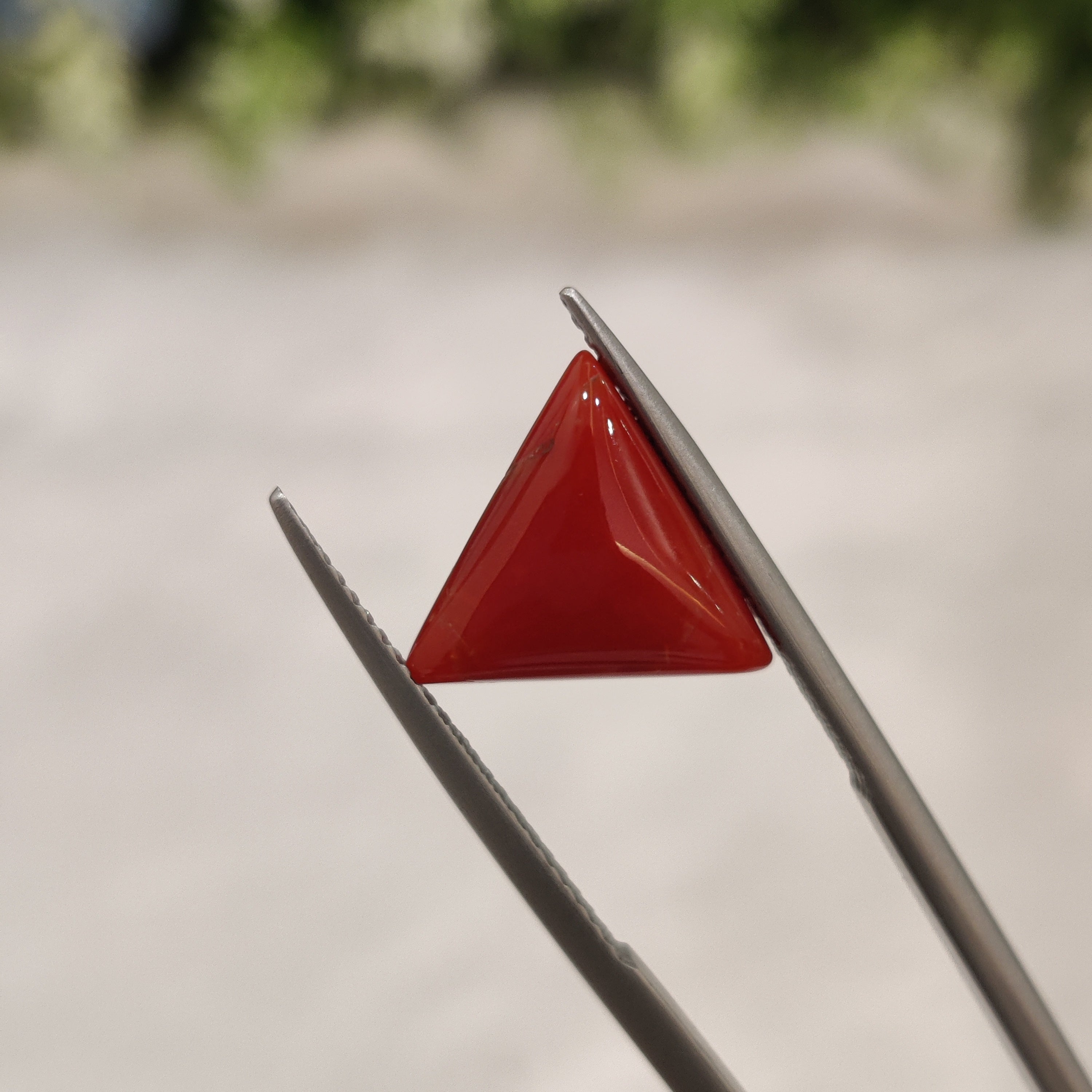 Coral | CORAL 24 | 4.98 Carat