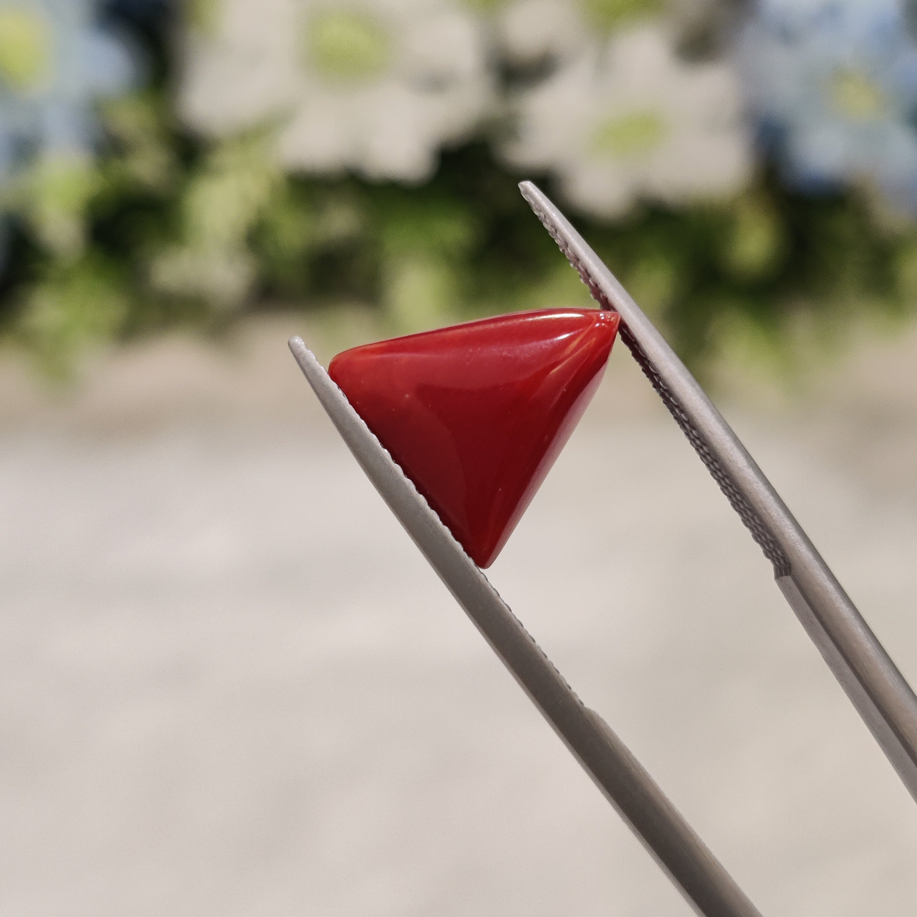 Coral | CORAL 62 | 4.87 Carat