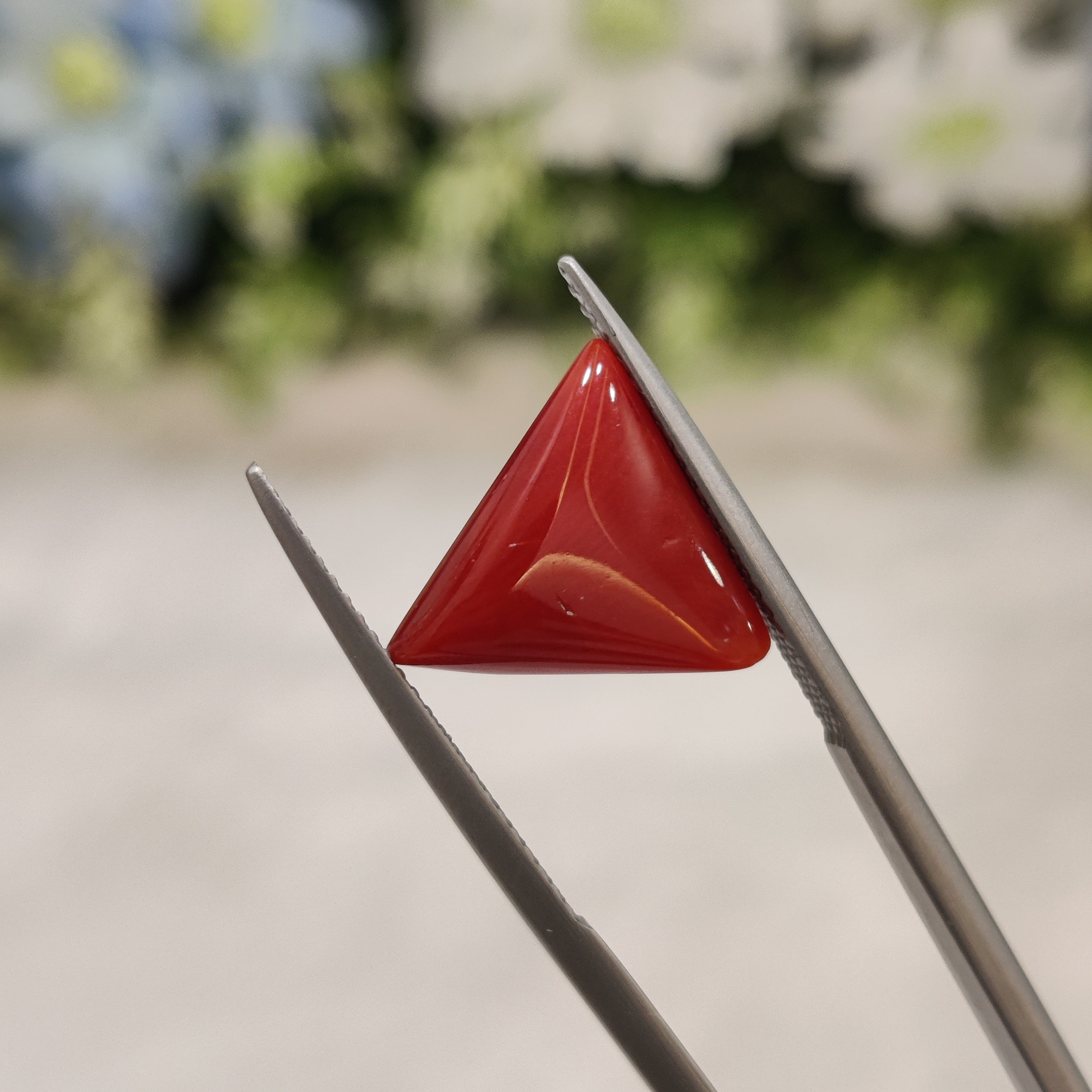 Coral | CORAL 22 | 4.64 Carat