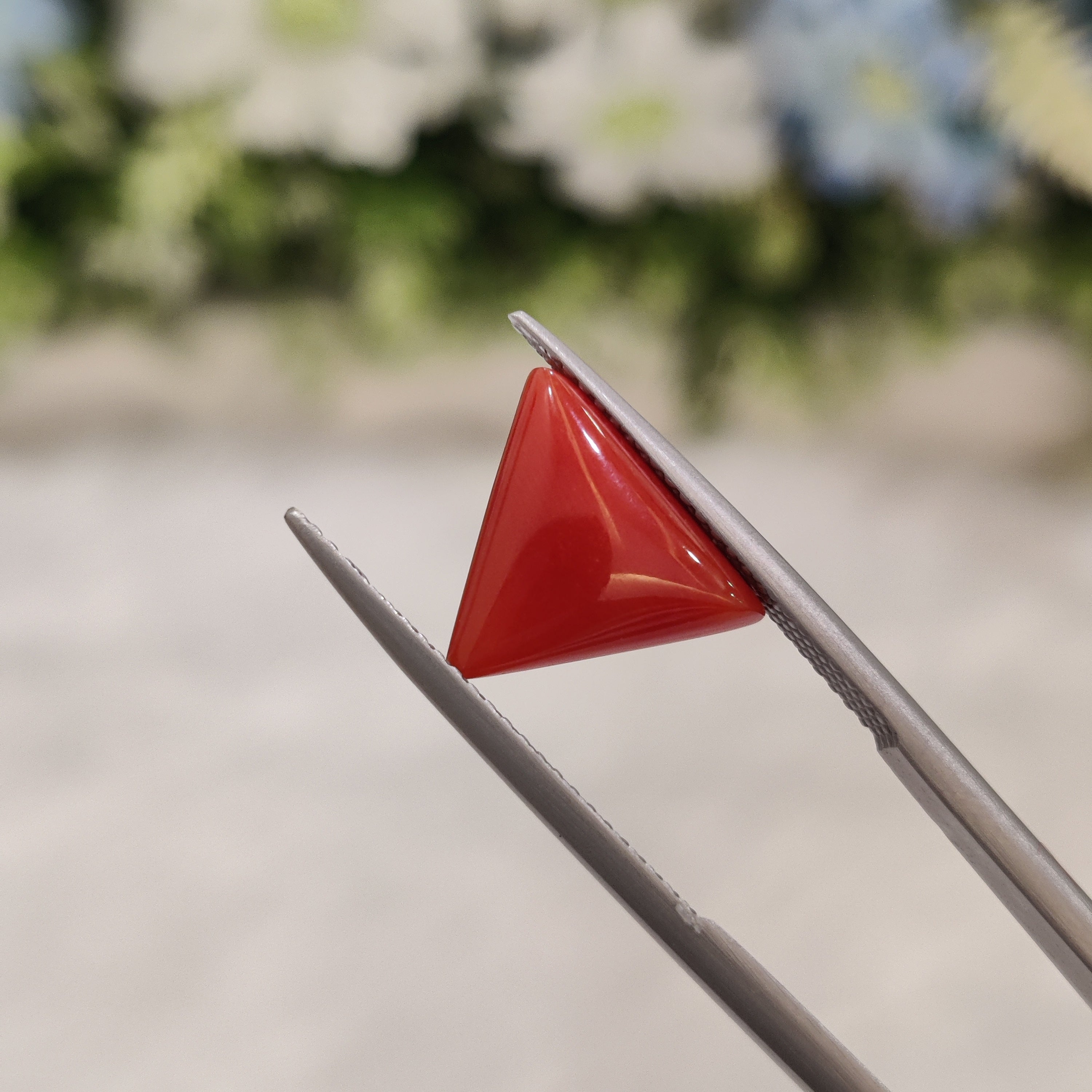 Coral | CORAL 74 | 3.35 Carat