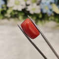 Coral | CORAL 48 | 17.21 Carat