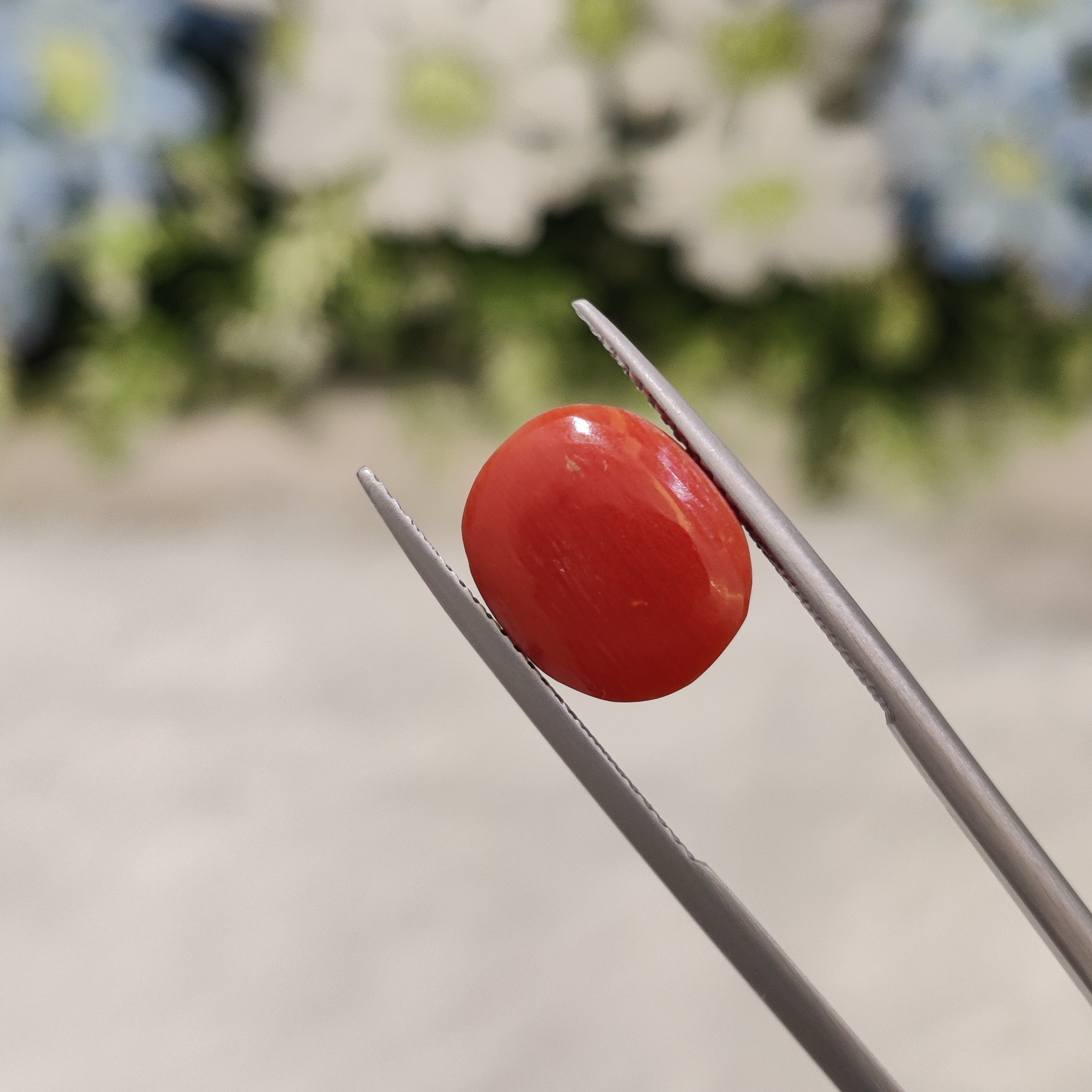 Coral | Coral 46 | 7.5 Carat