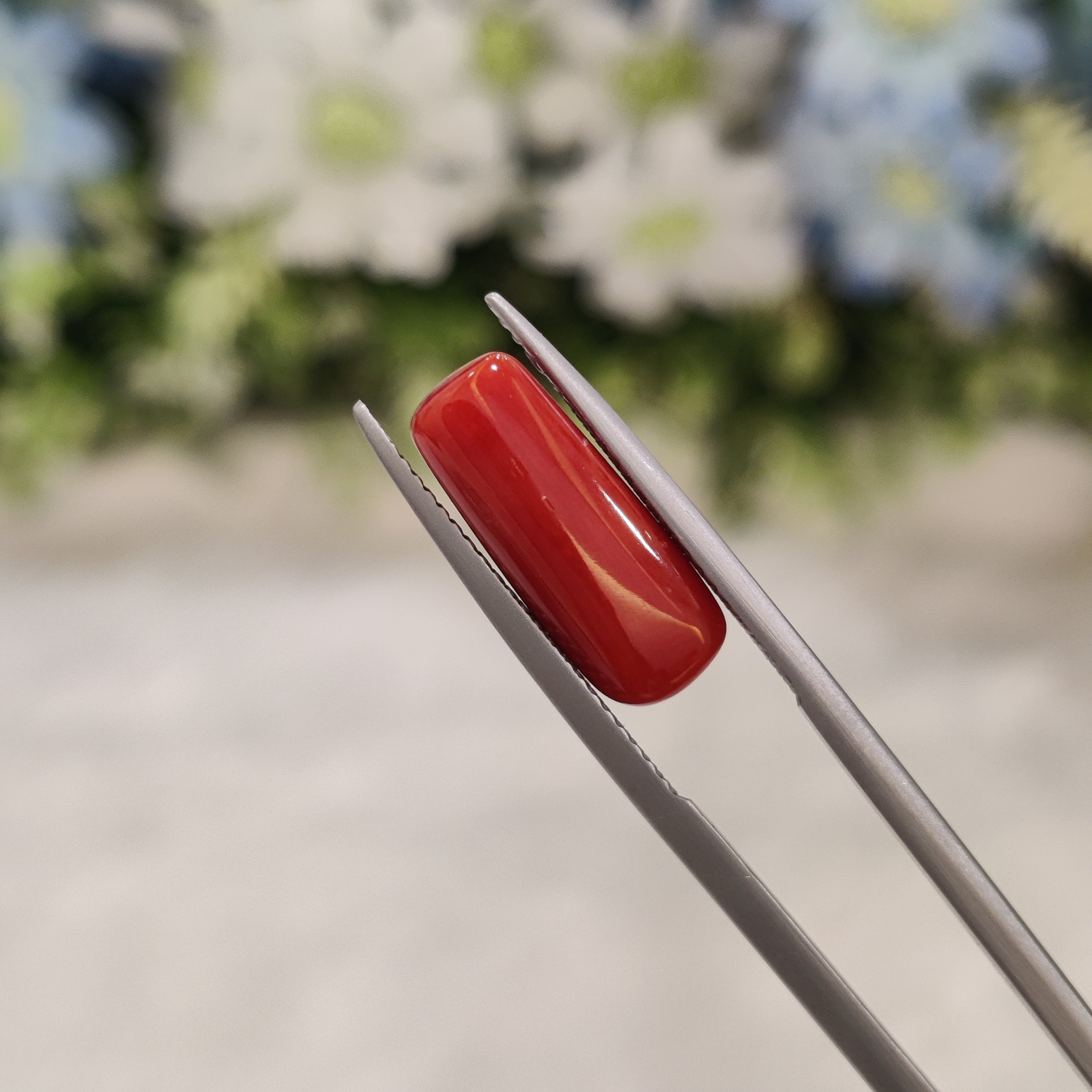 Coral | CORAL 41 | 5.17 Carat