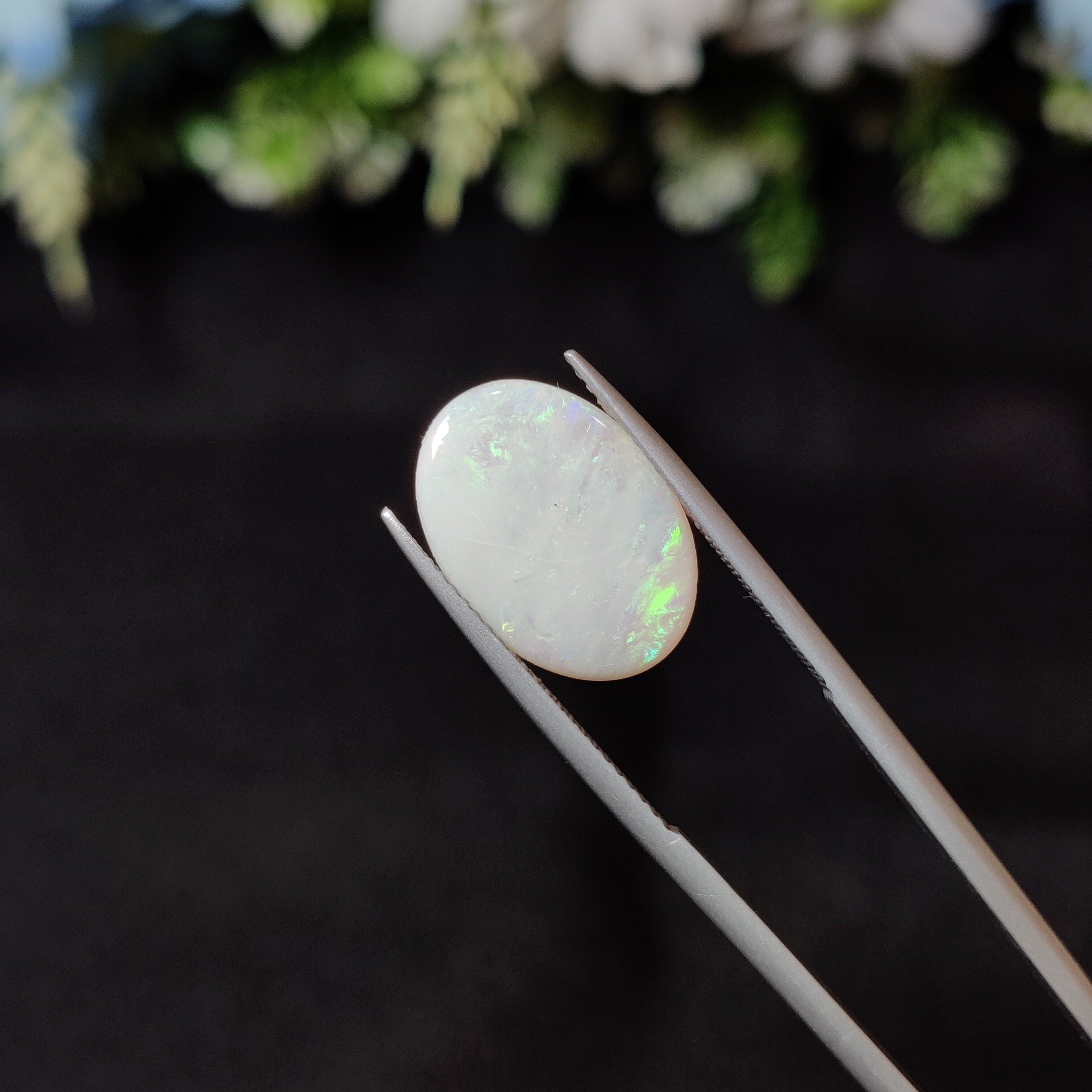 Opal | OPAL 15 | 3.17 Carat