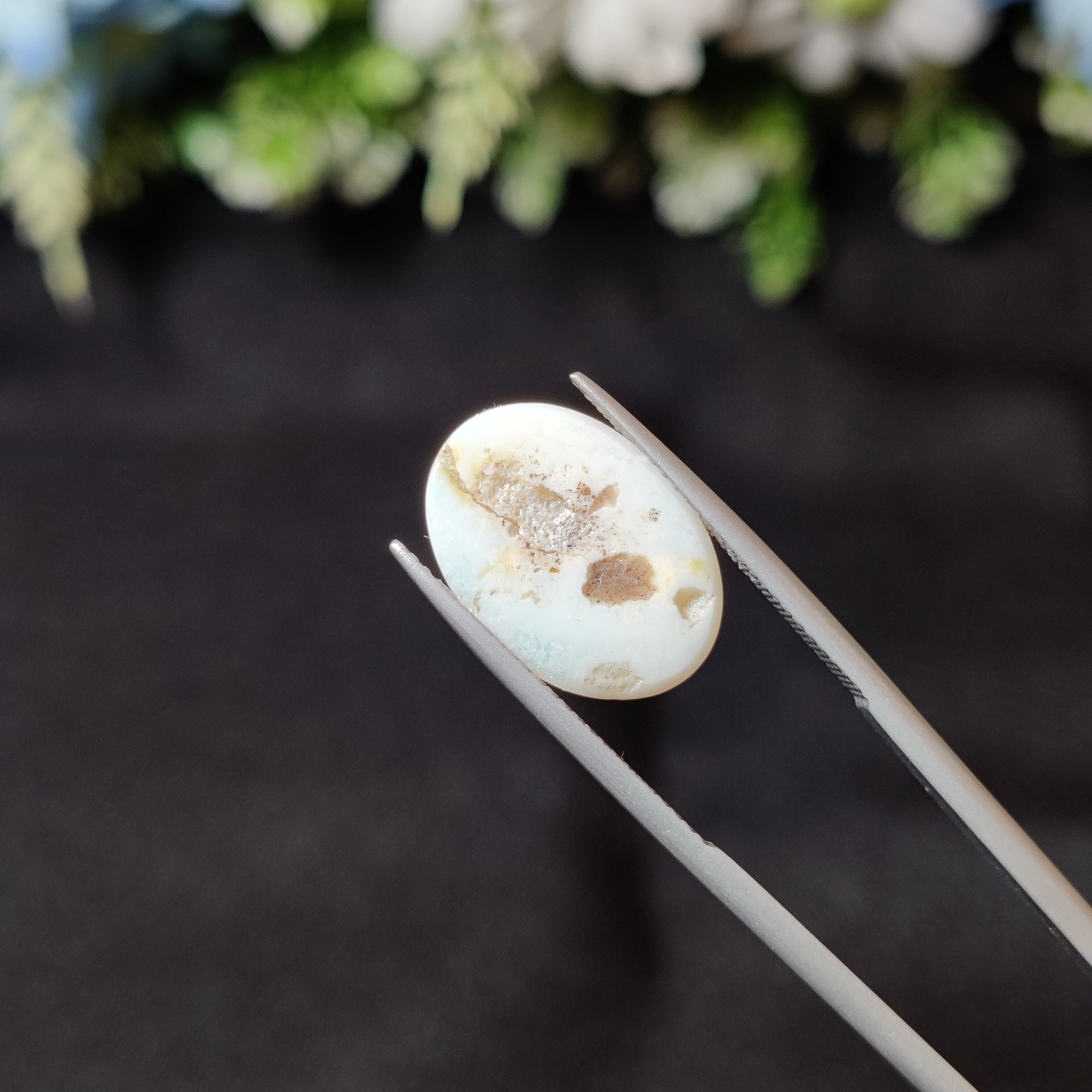 Opal | OPAL 15 | 3.17 Carat