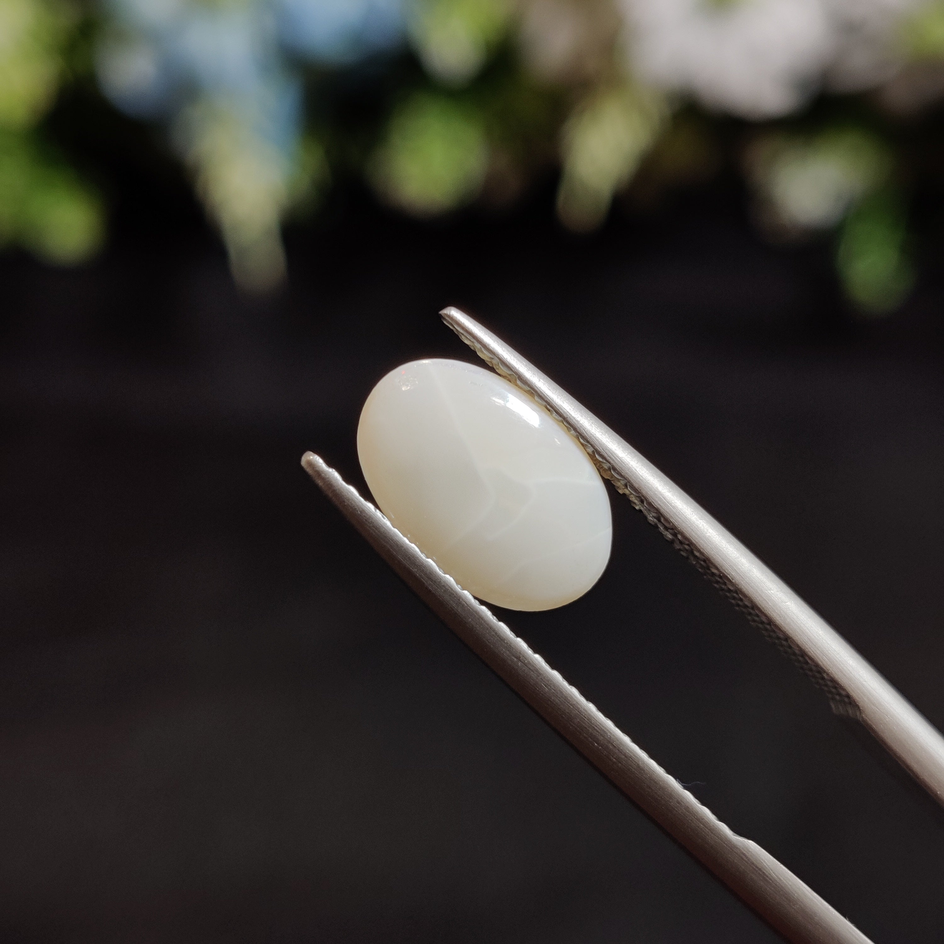 Opal | OPAL 100 | 1.58 Carat