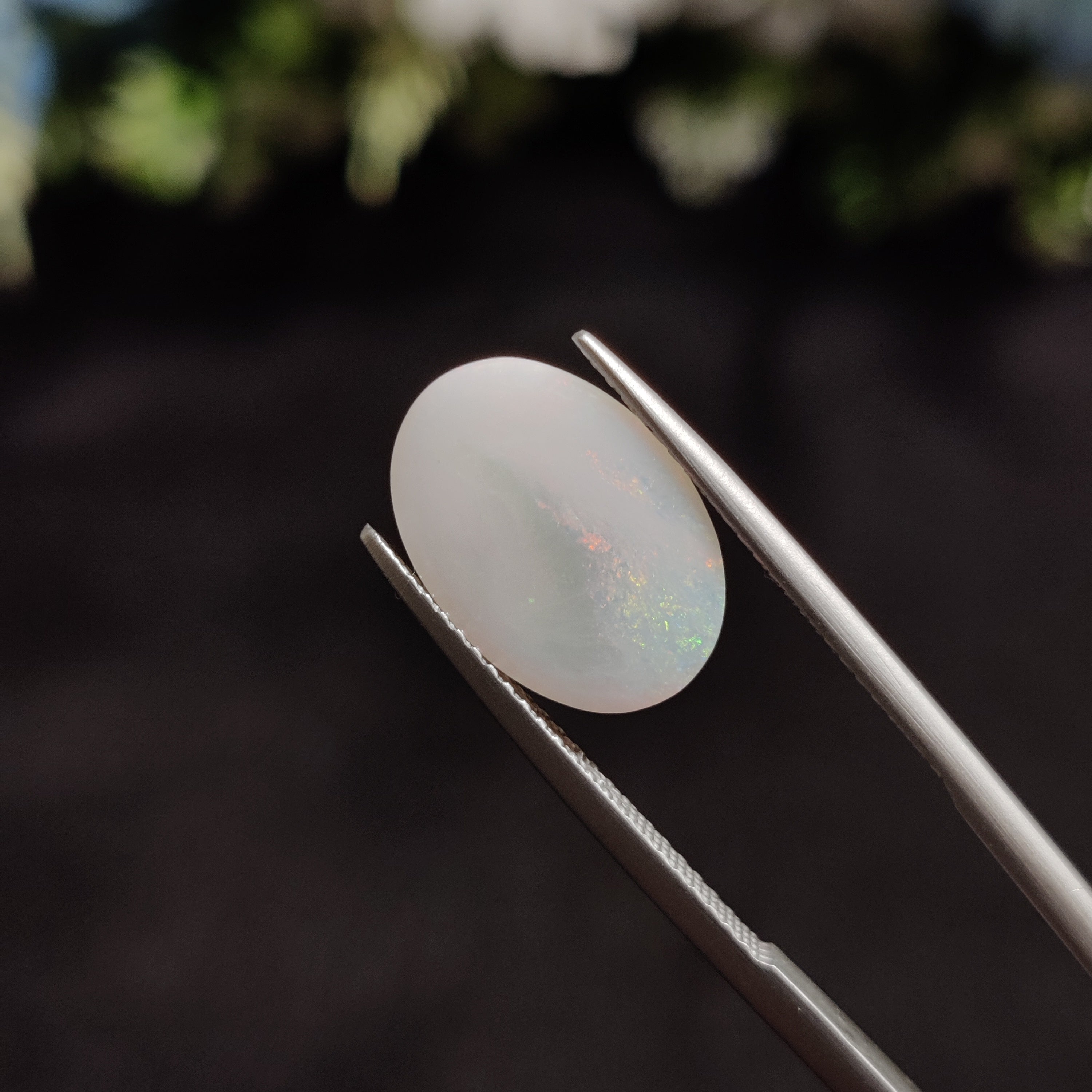 Opal | OPAL 21 | 2.78 Carat