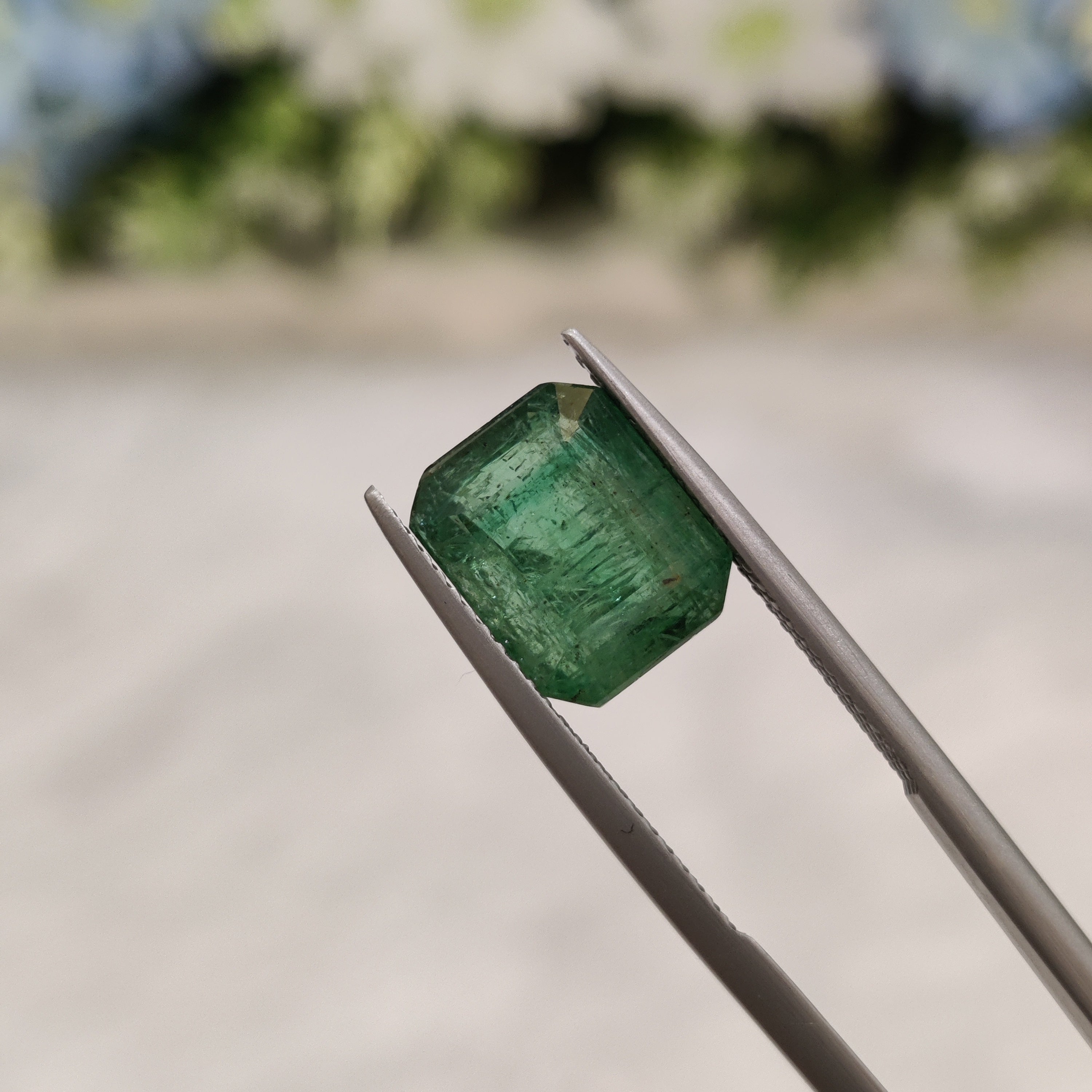 Emerald | EM 383 | 5.56 Carat