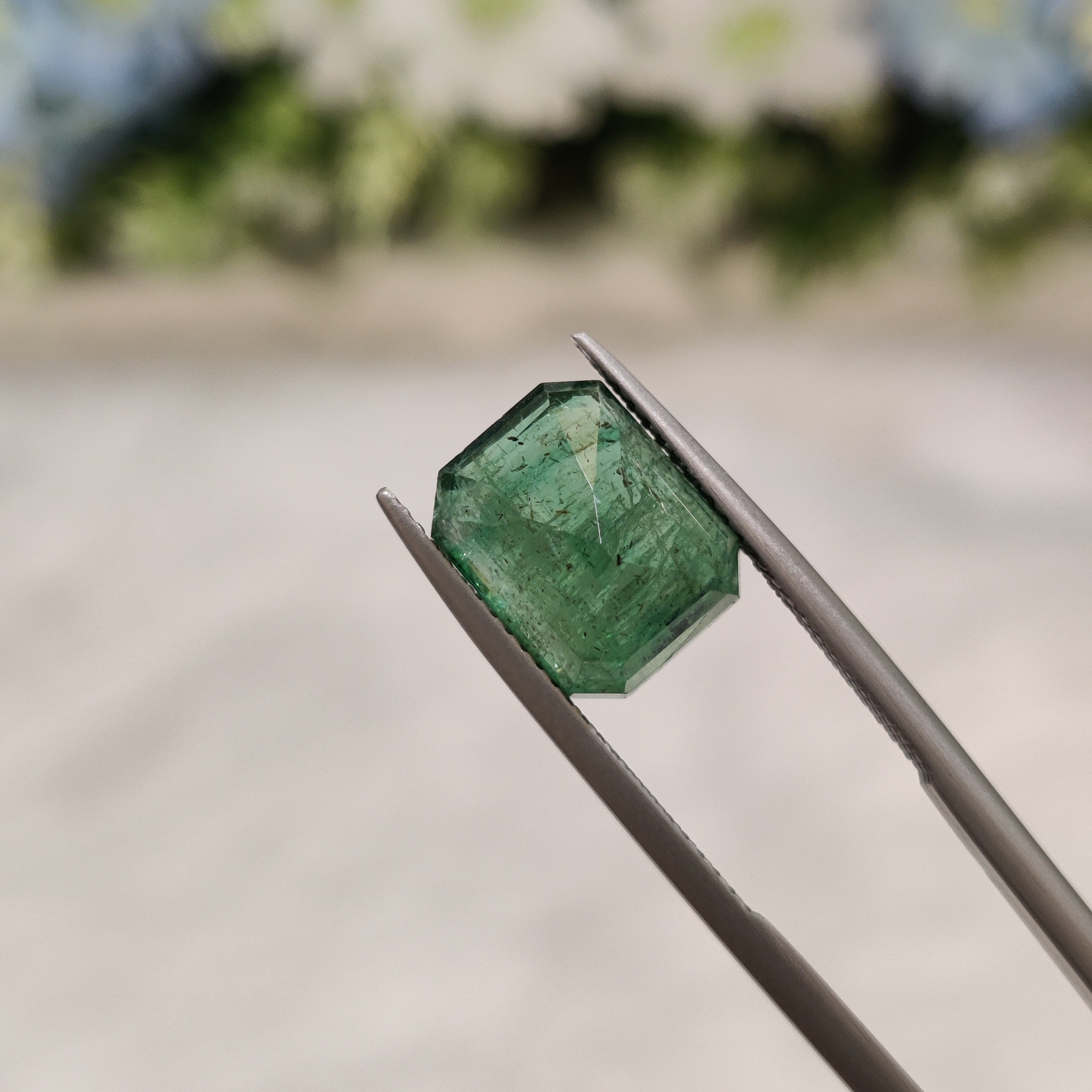 Emerald | EM 383 | 5.56 Carat
