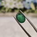 Emerald | EM 375 | 2.69 Carat