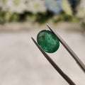 Emerald | EM 373 | 2.97 Carat