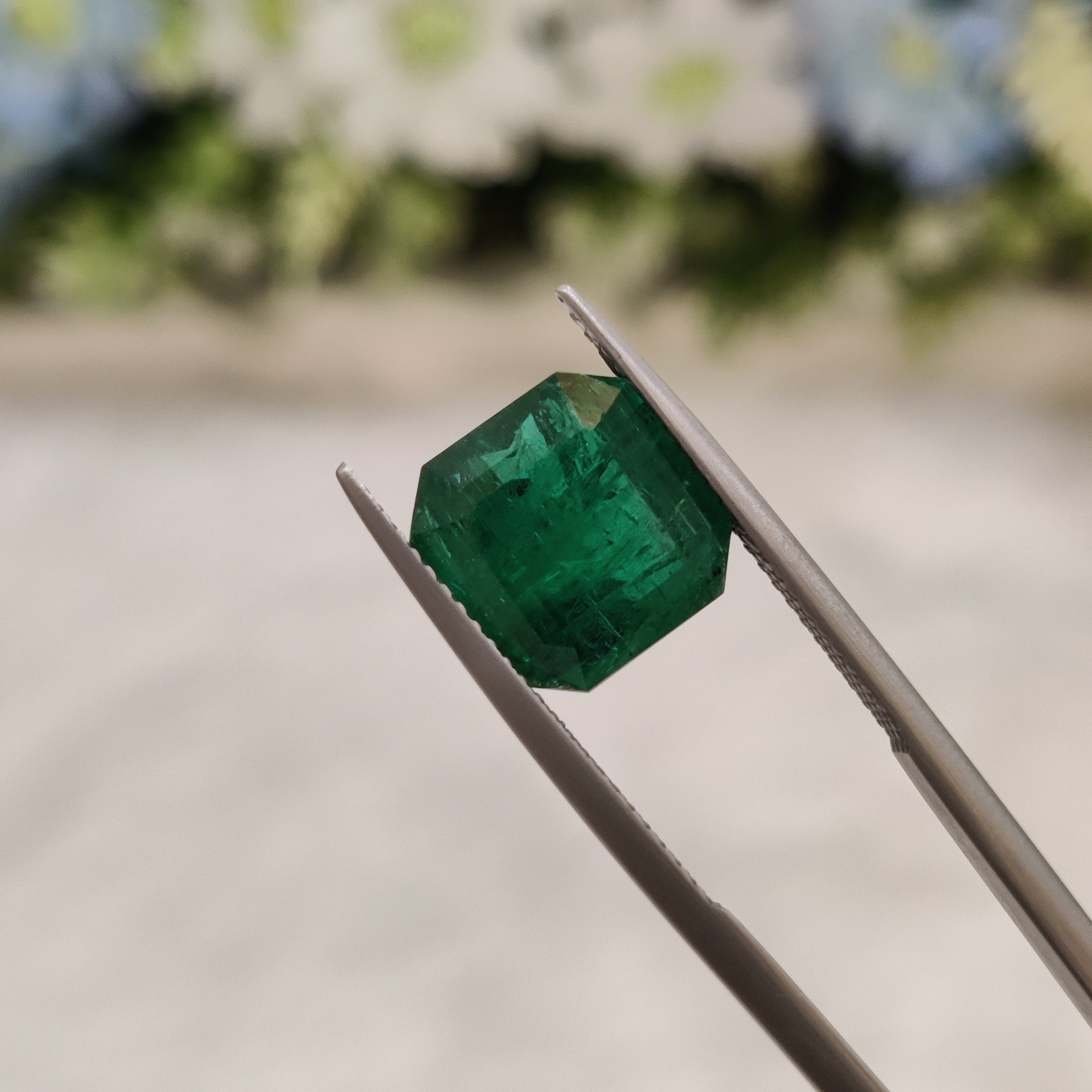 Emerald | EM 386 | 4.88 Carat