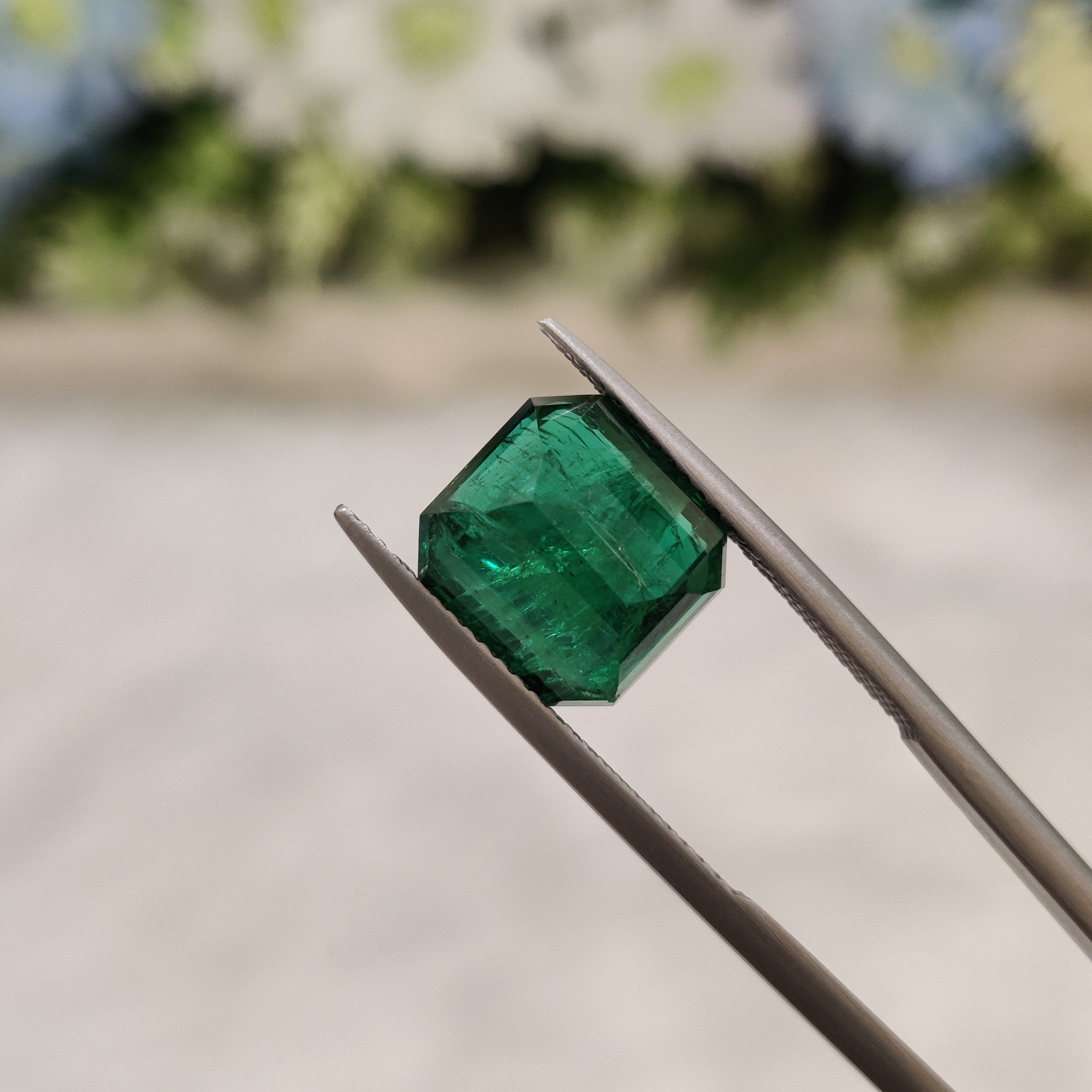 Emerald | EM 386 | 4.88 Carat
