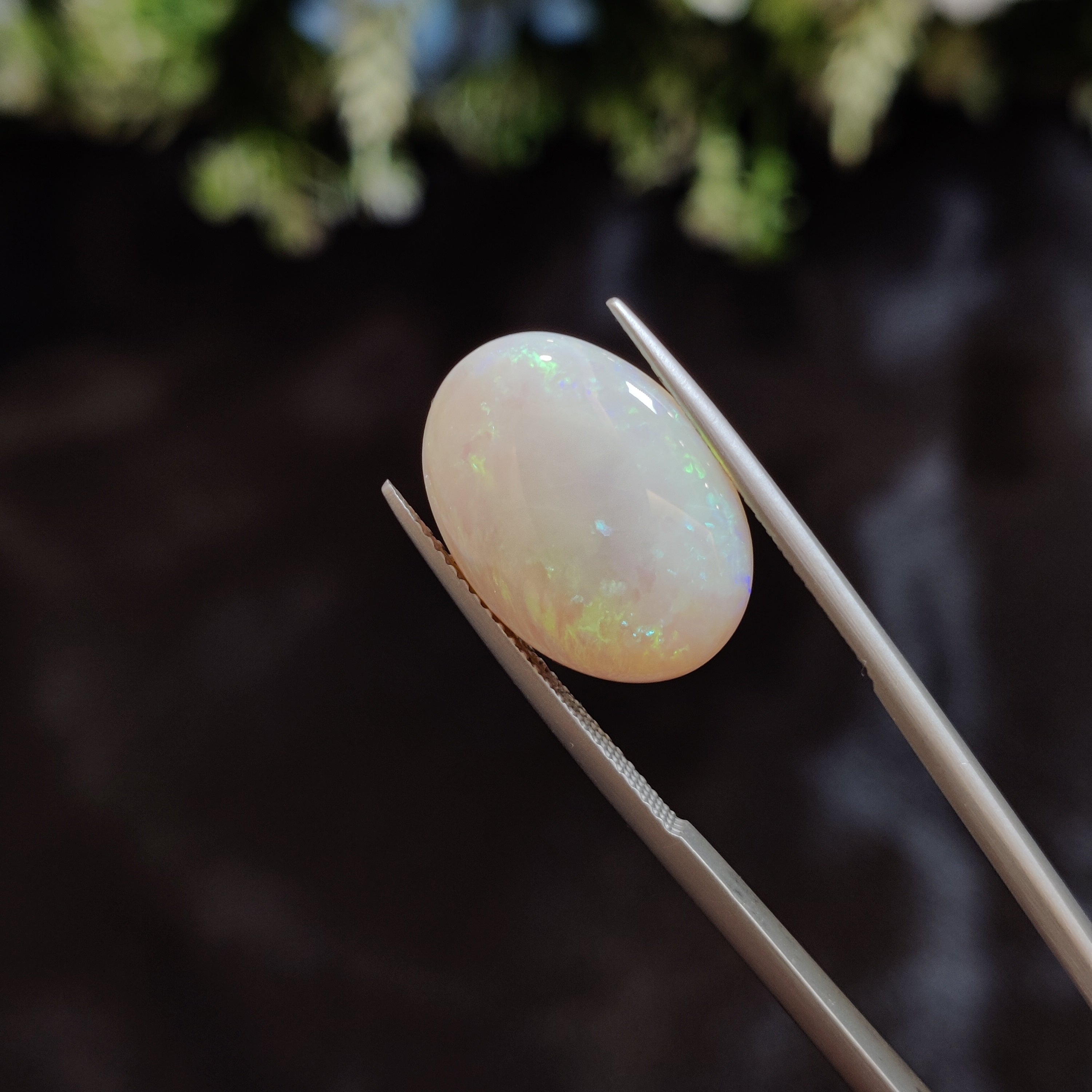 Opal | OPAL 145 | 7.25 Carat