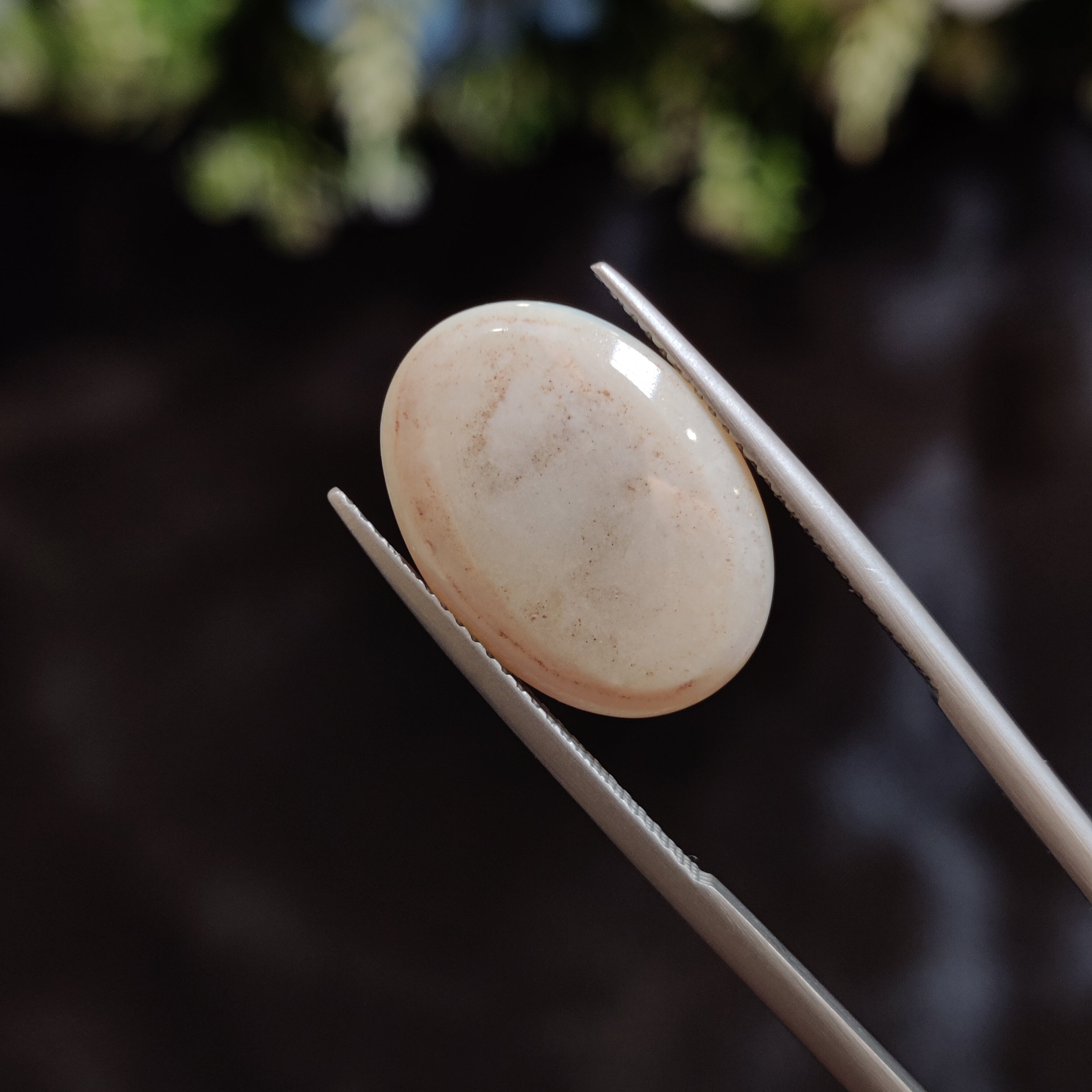 Opal | OPAL 145 | 7.25 Carat