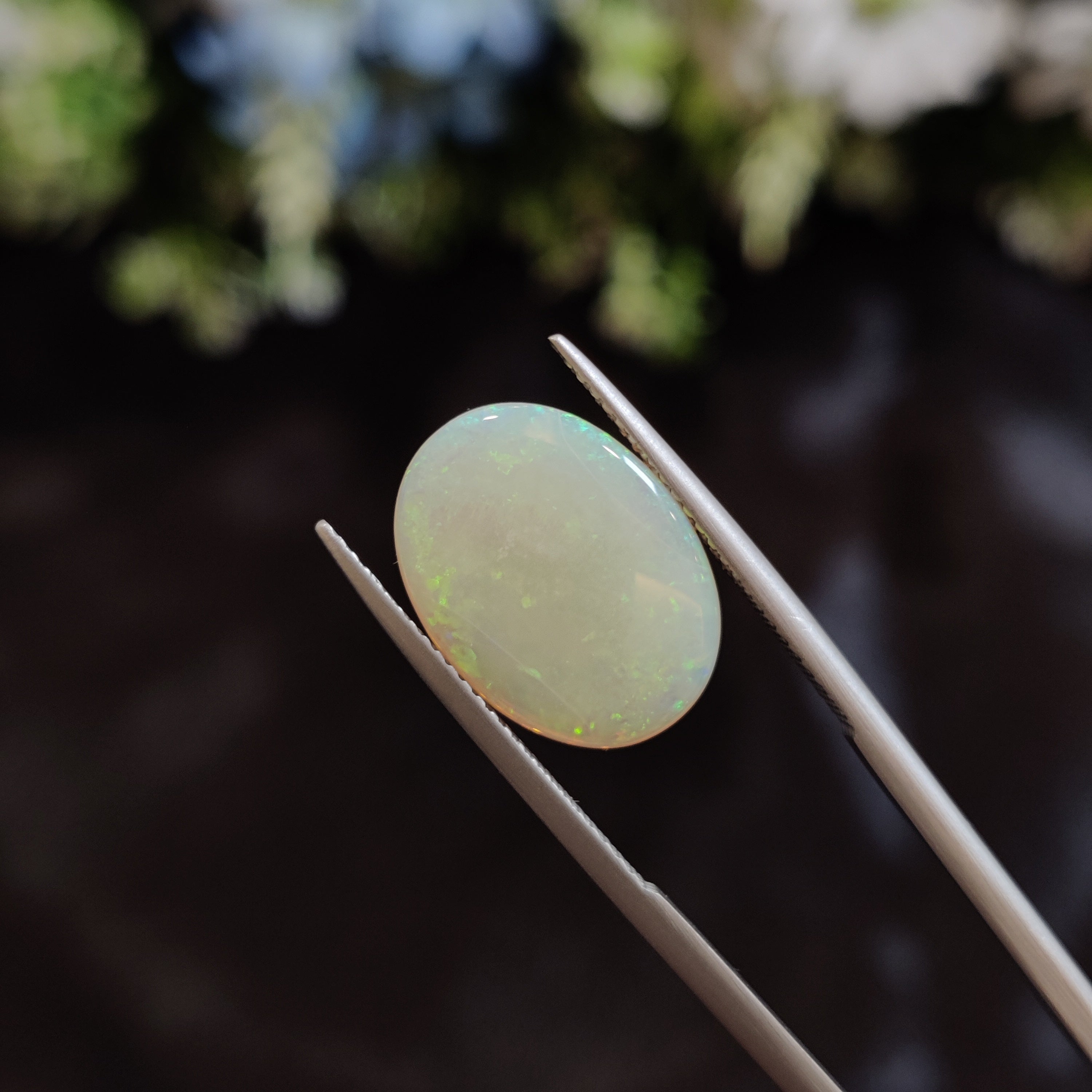 Opal | OPAL 146 | 4.06 Carat