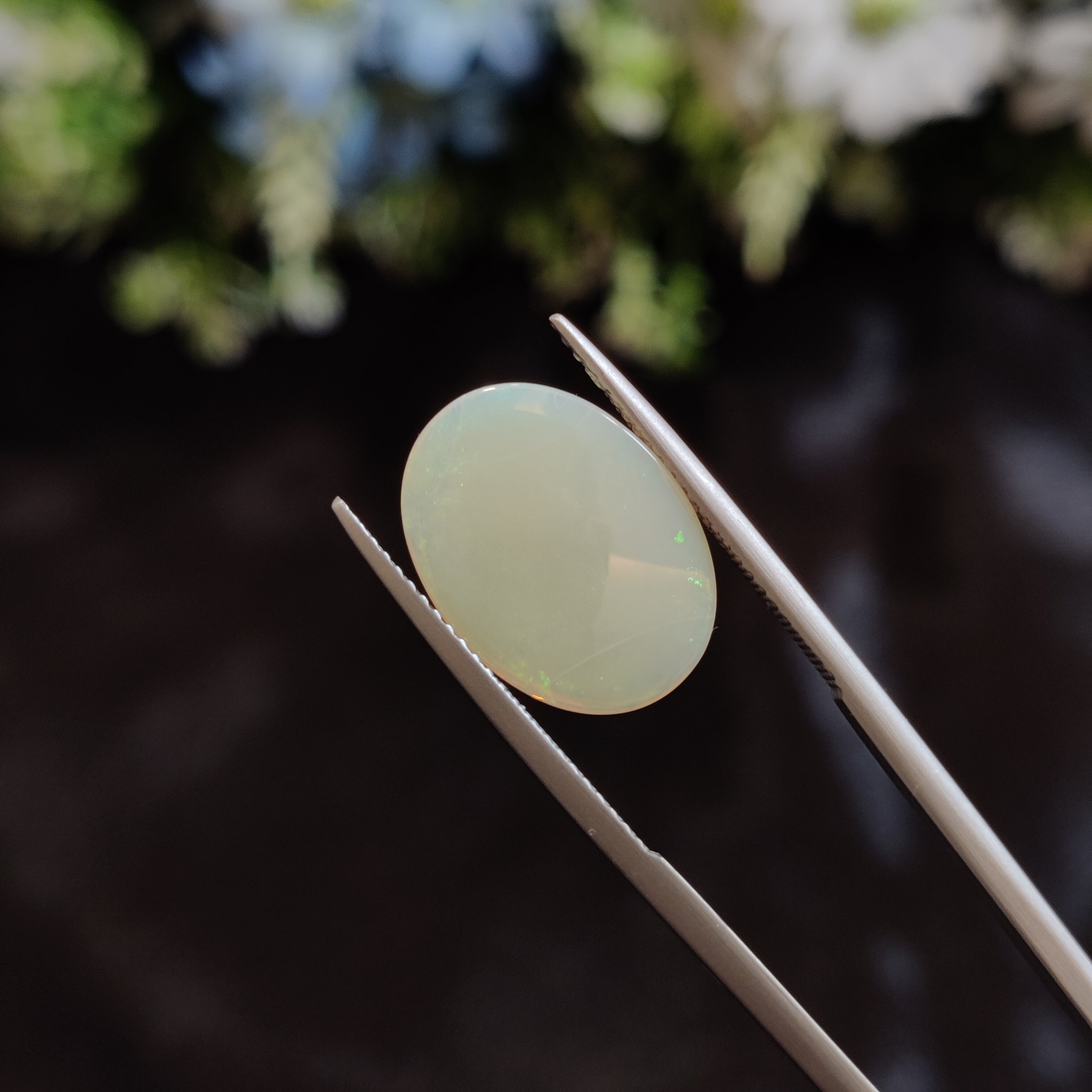 Opal | OPAL 146 | 4.06 Carat