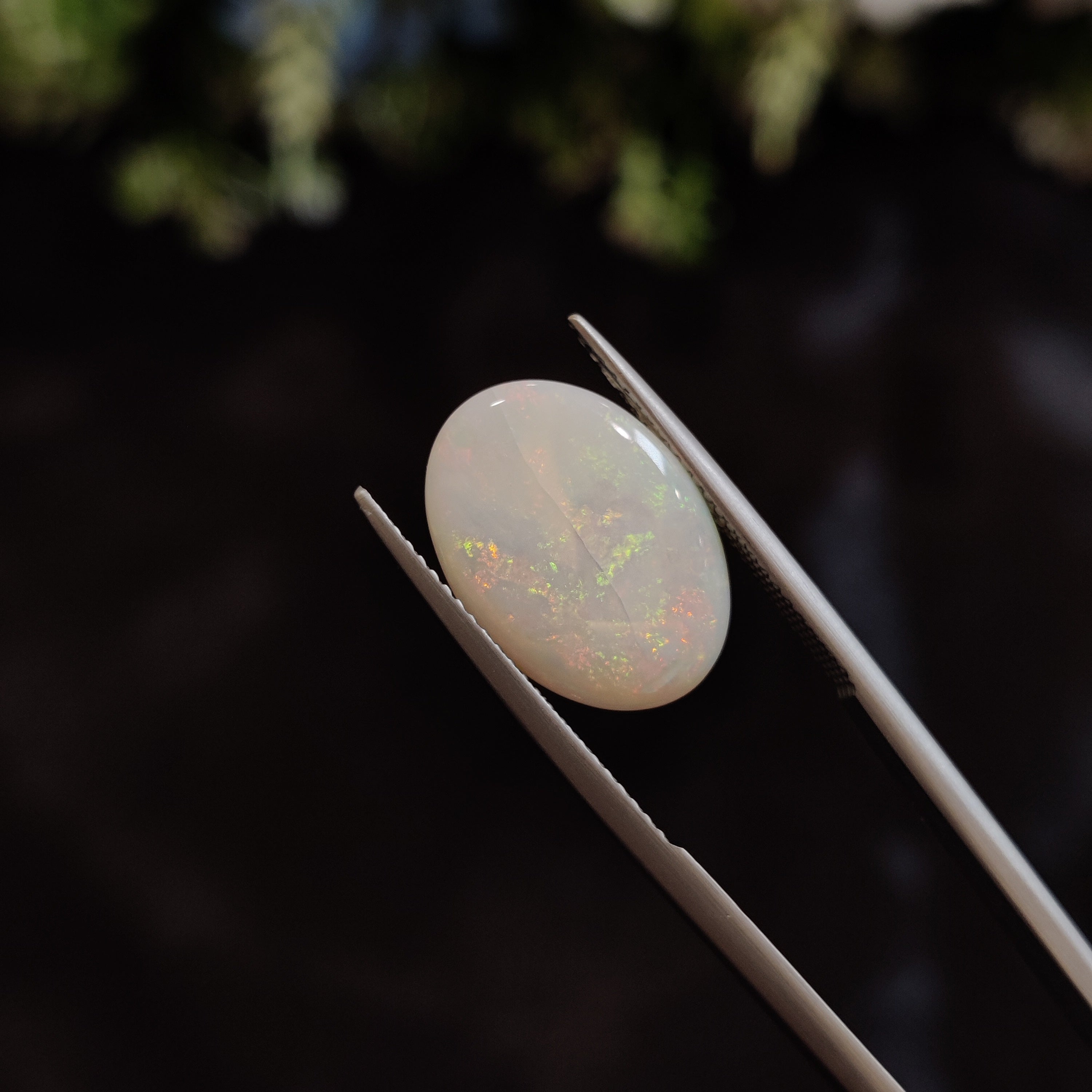 Opal | OPAL 151 | 4.1 Carat