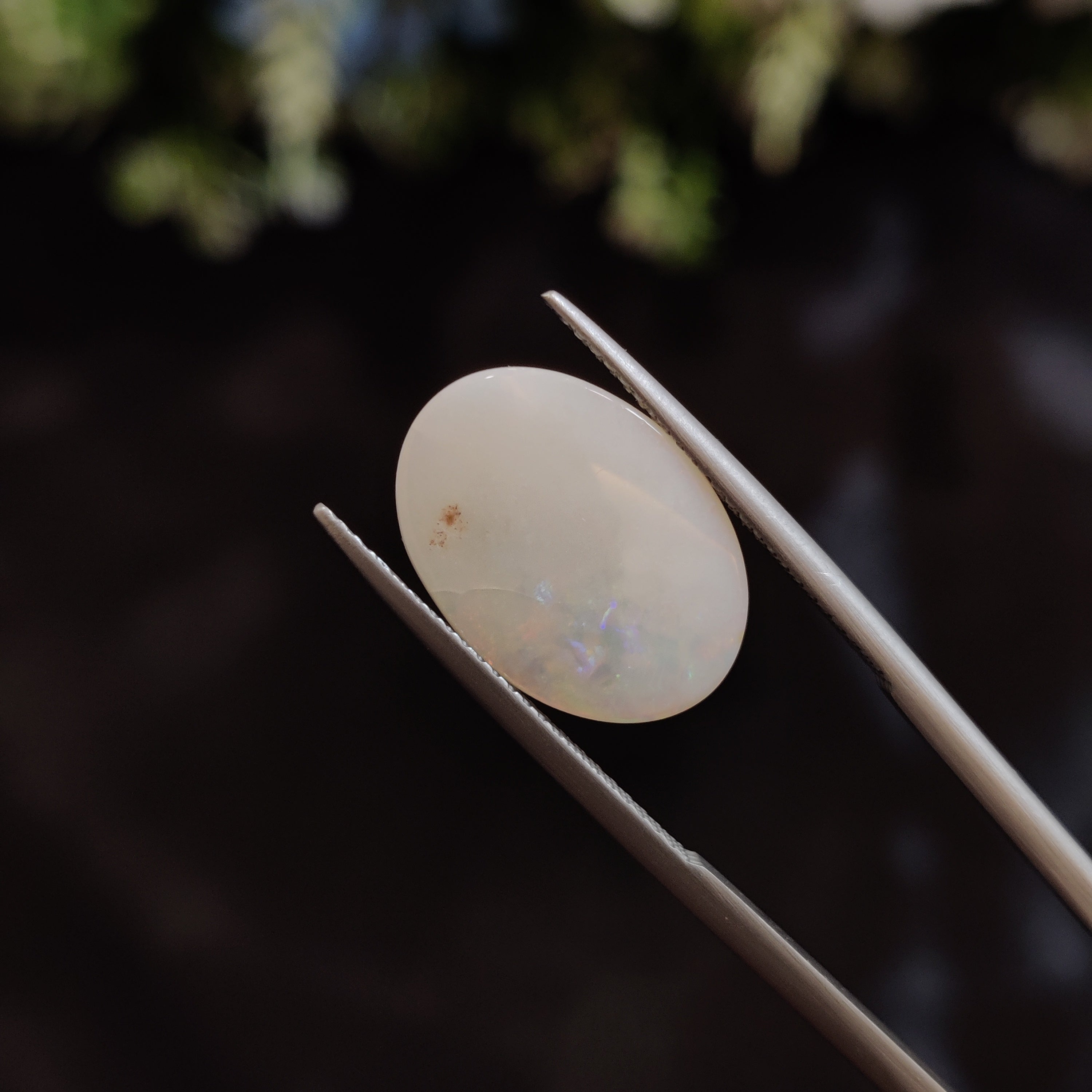 Opal | OPAL 151 | 4.1 Carat