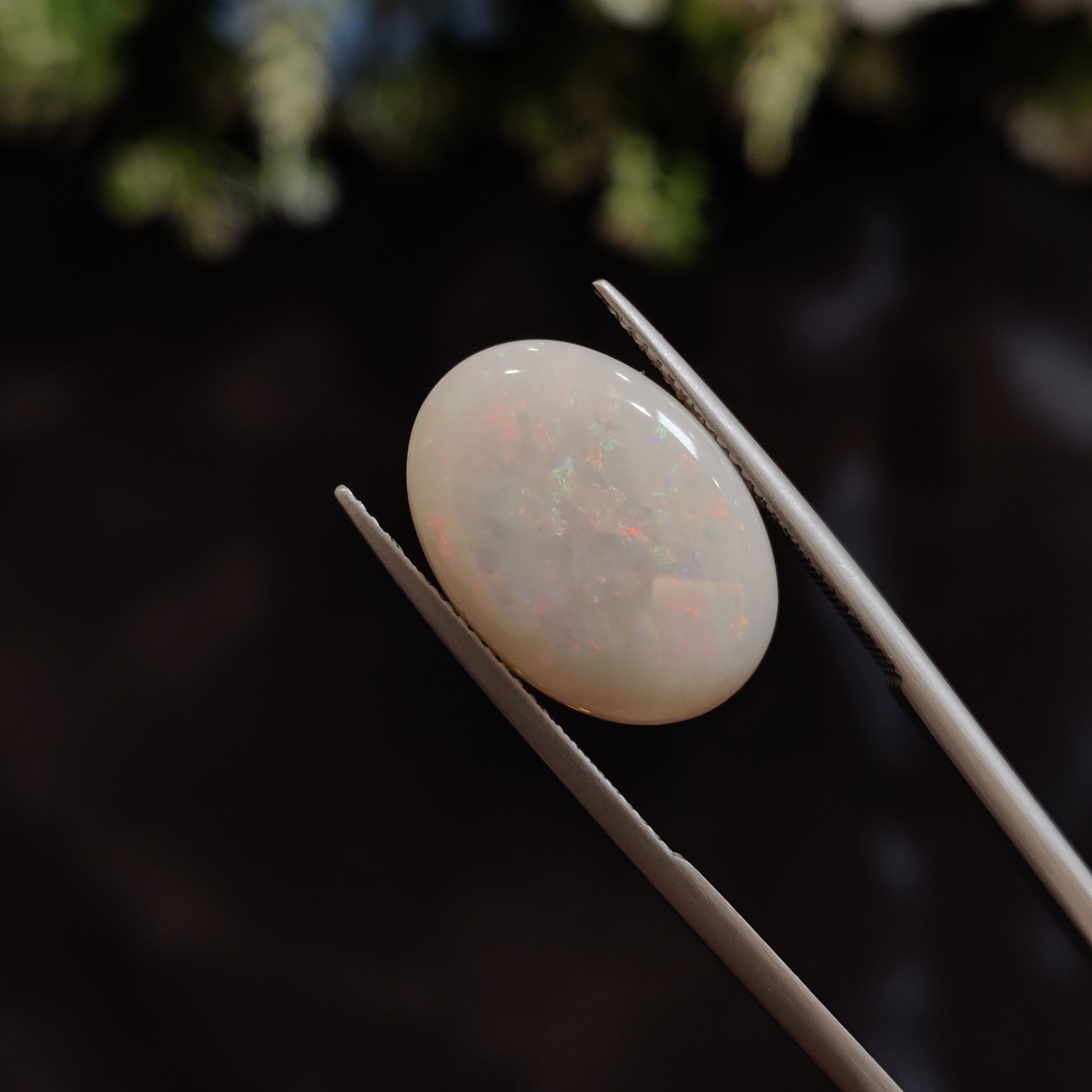 Opal | OPAL 147 | 6.71 Carat