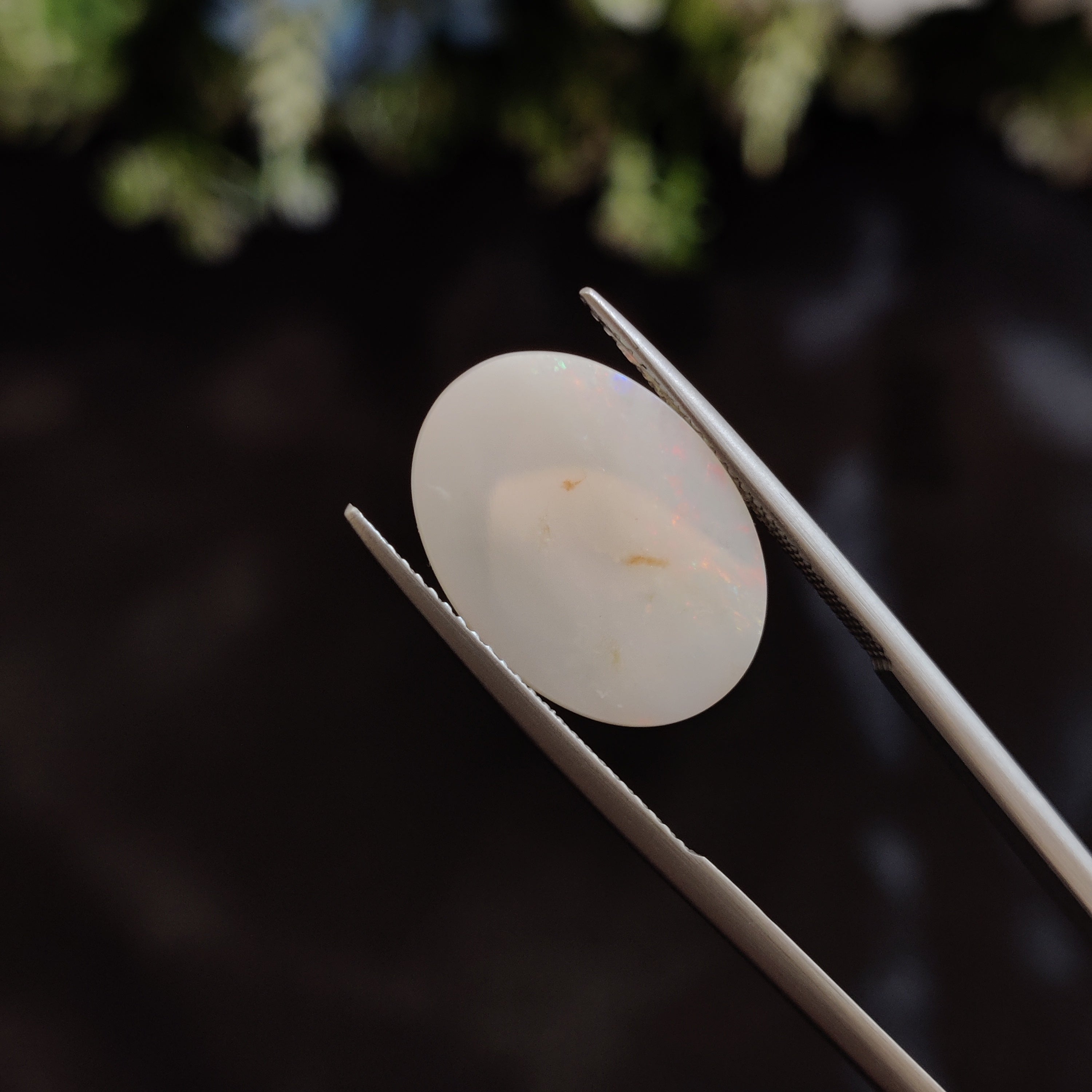 Opal | OPAL 147 | 6.71 Carat