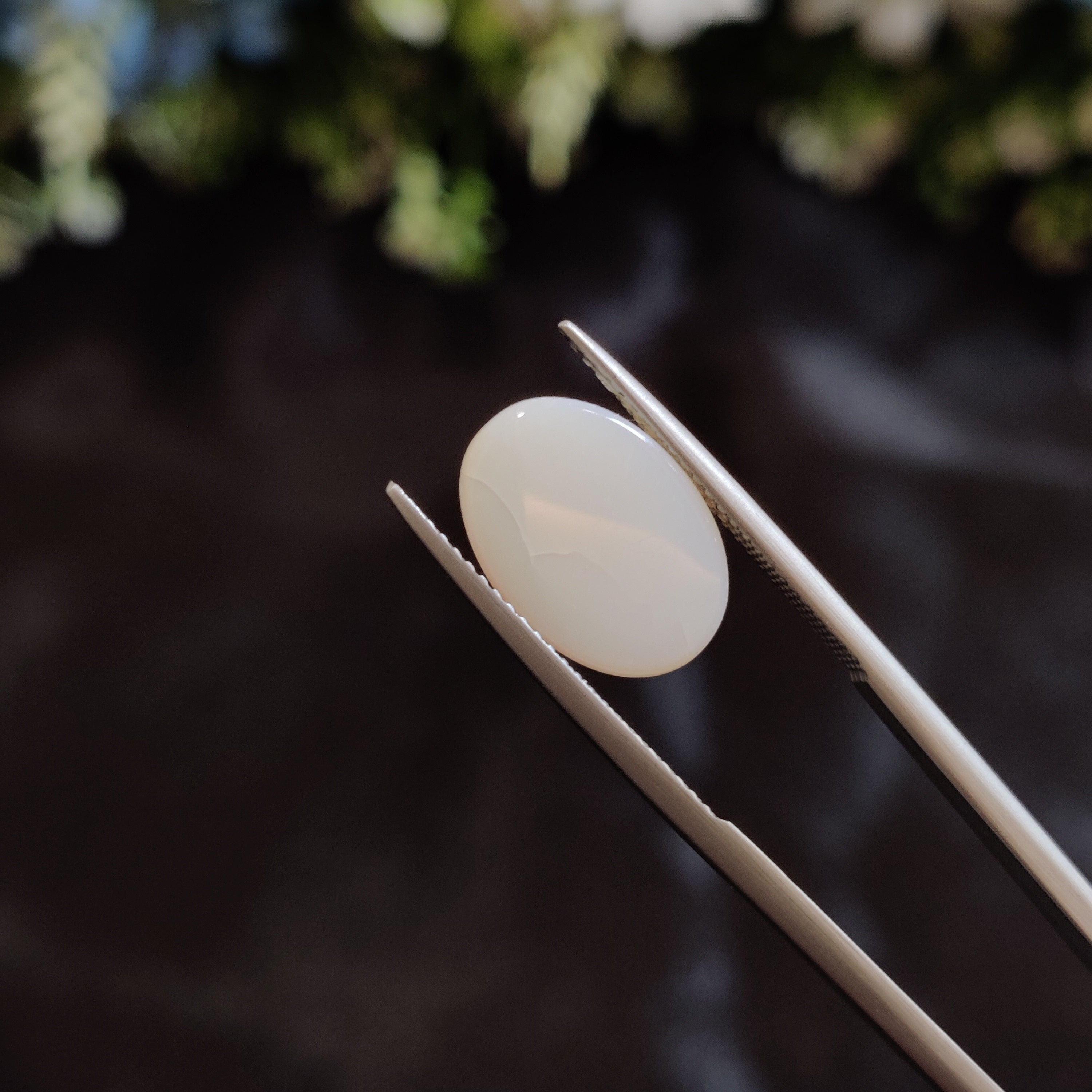 Opal | OPAL 149 | 3.99 Carat